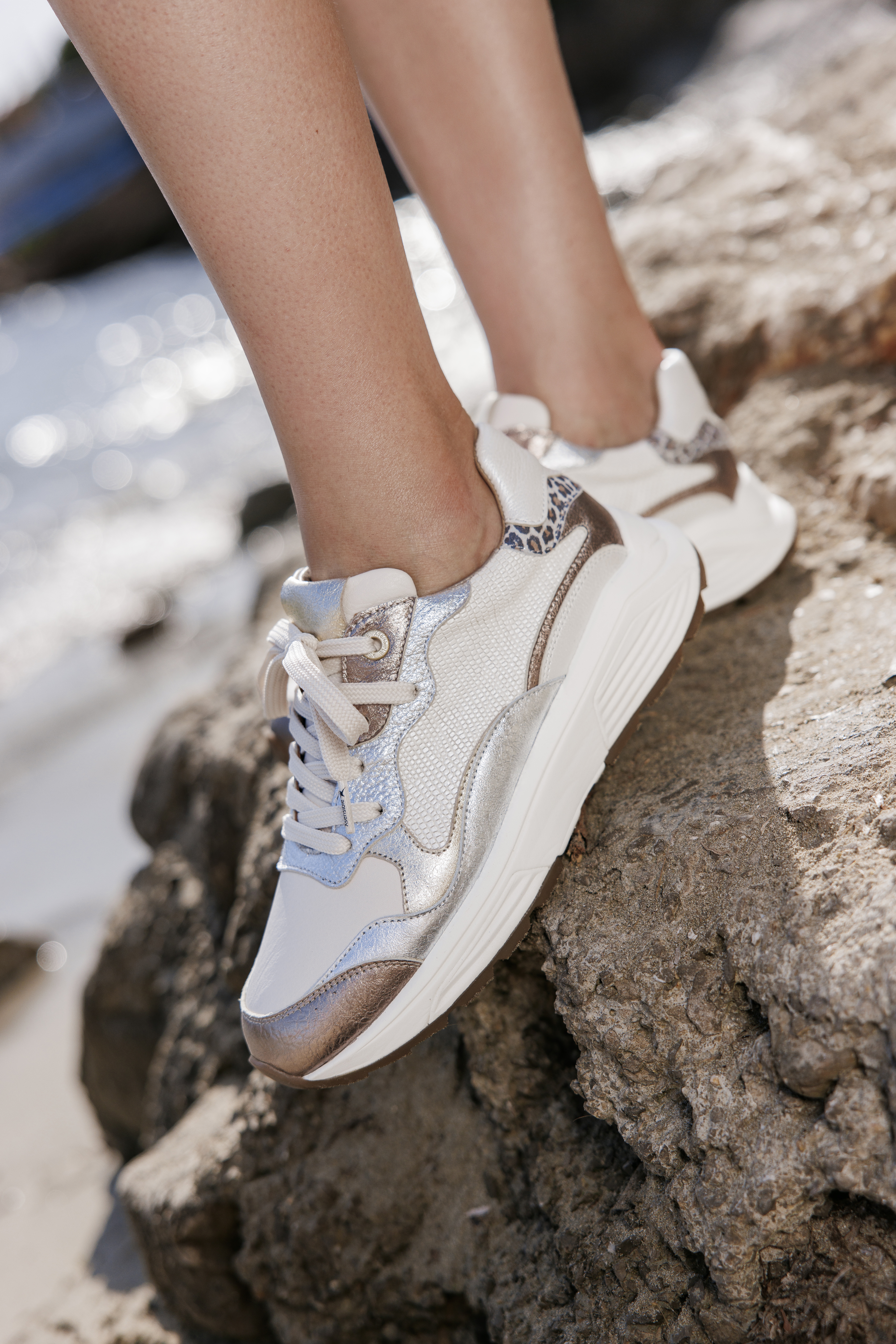 33011 3 396 Rainbow EWI 5542 1