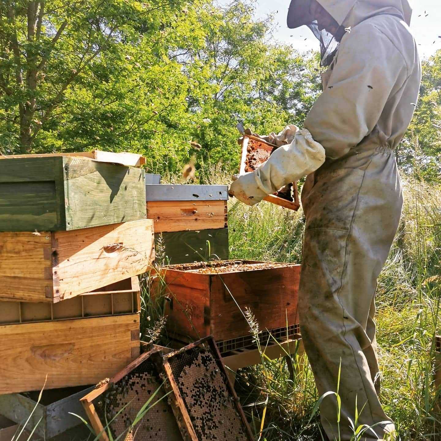 104321527 2444024132519561 6991711463537635930 n