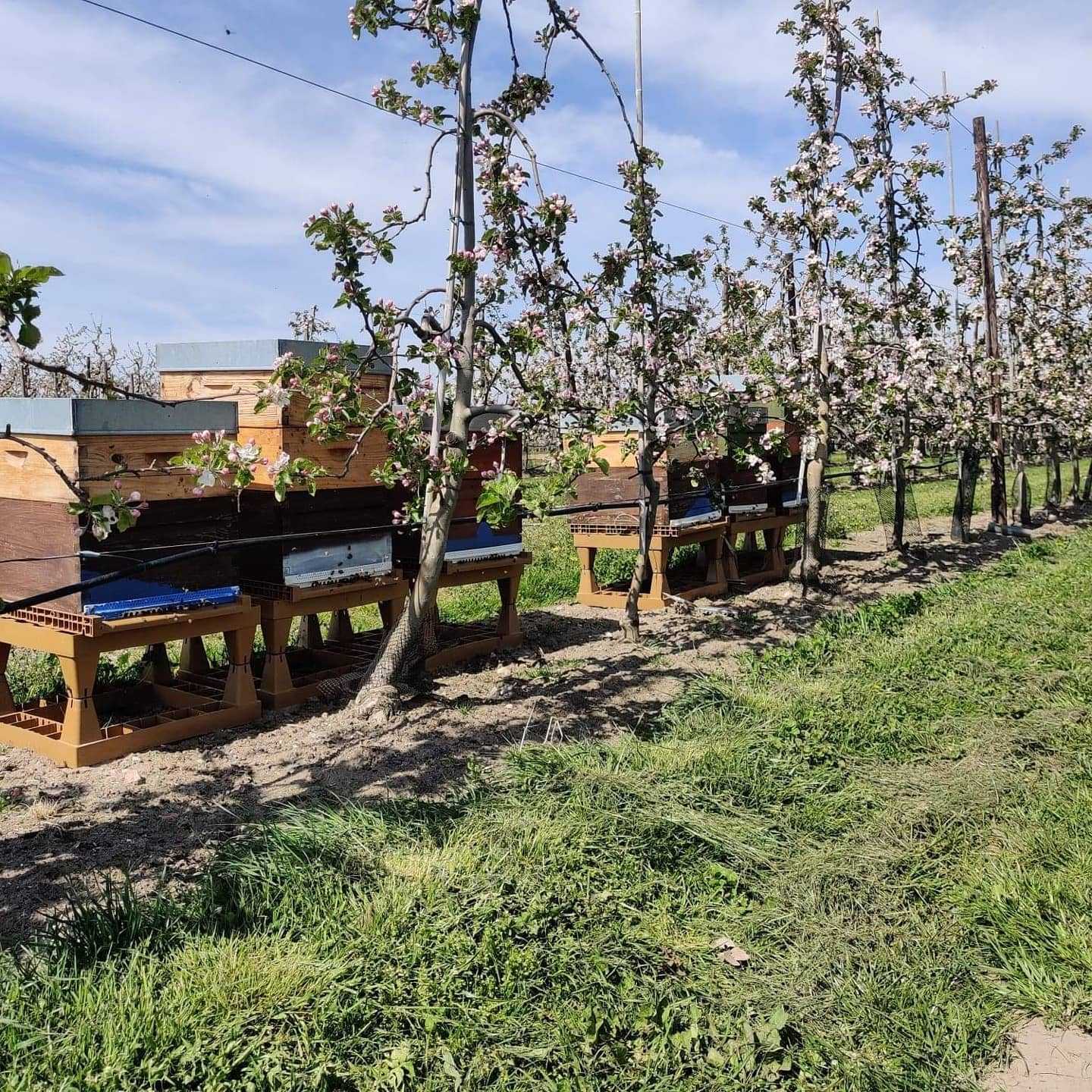 175093084 152474850213297 6316214201534585877 n