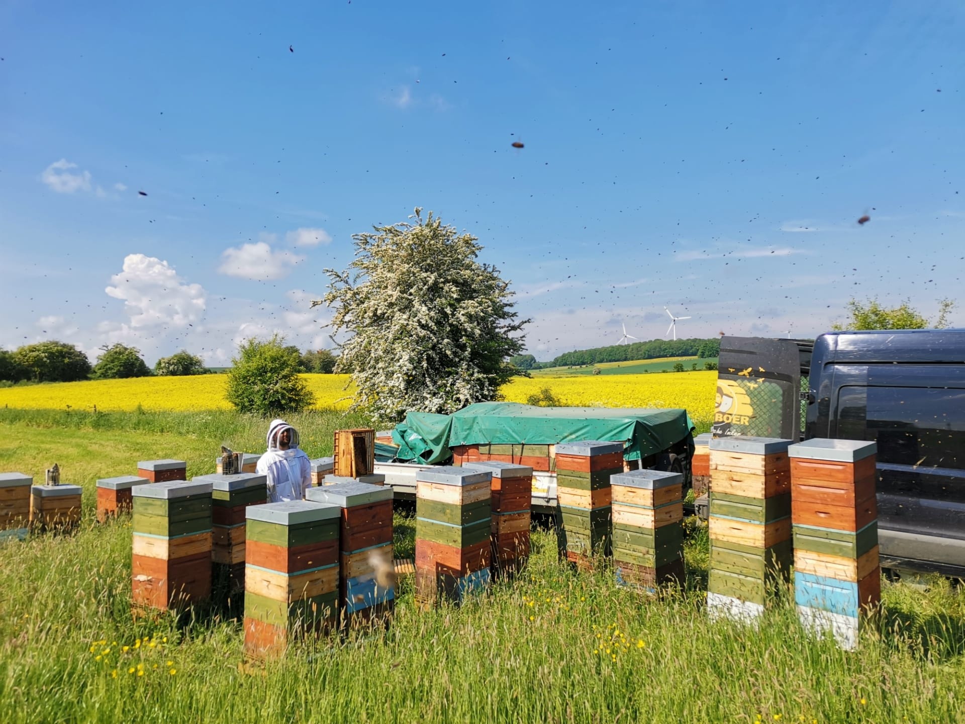 196859952 184512367009545 8654552794787501681 n