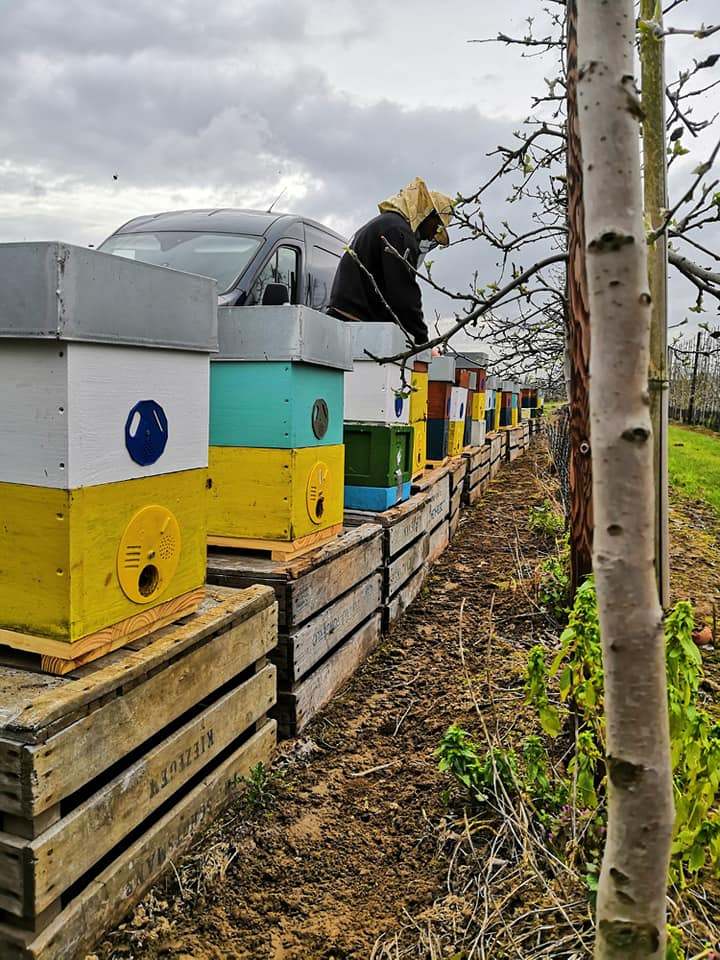 55453595 2113119465610031 6689114184279392256 n