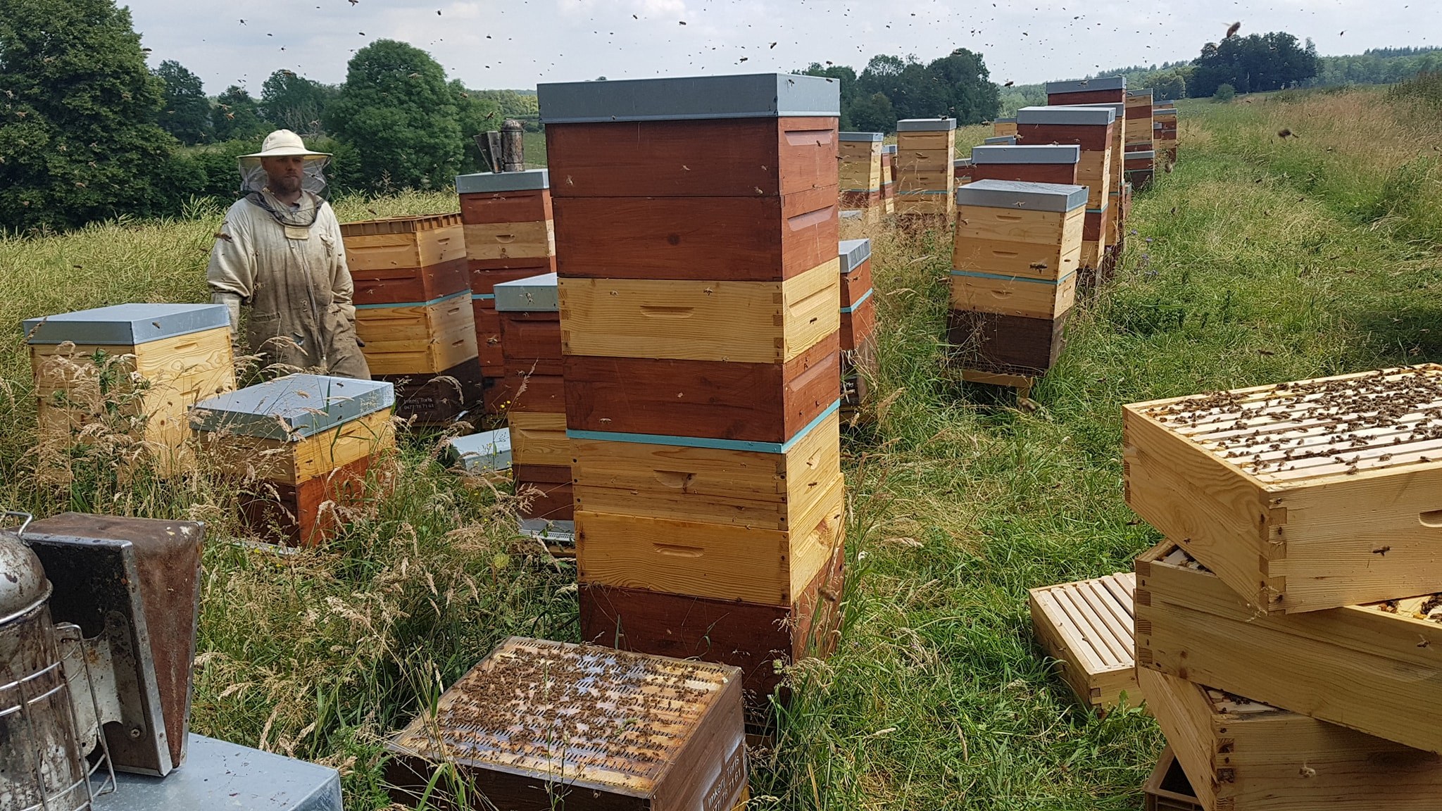 66039348 2173014982953812 6354781633467383808 n