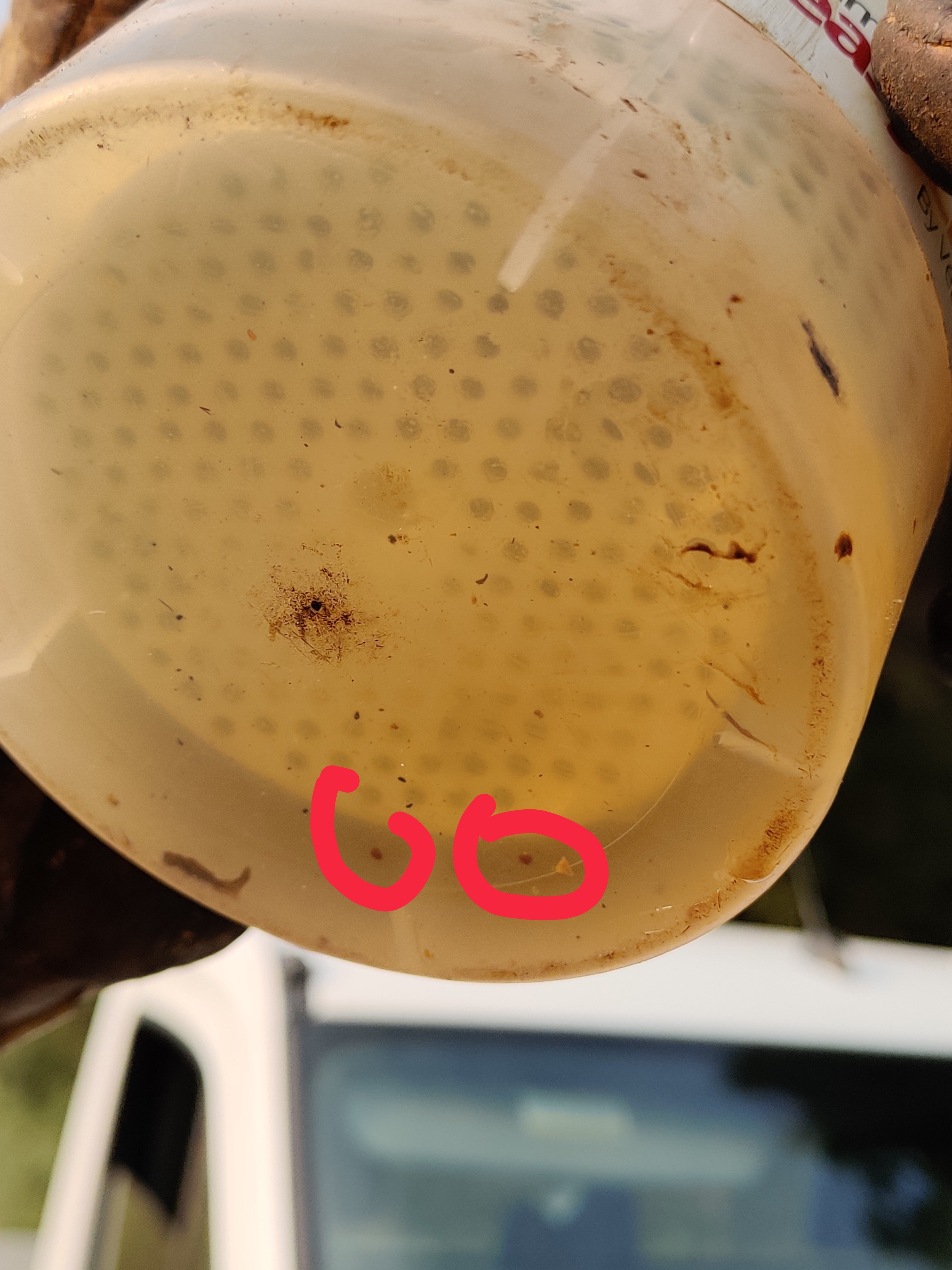 IMG 20200811 083504 01