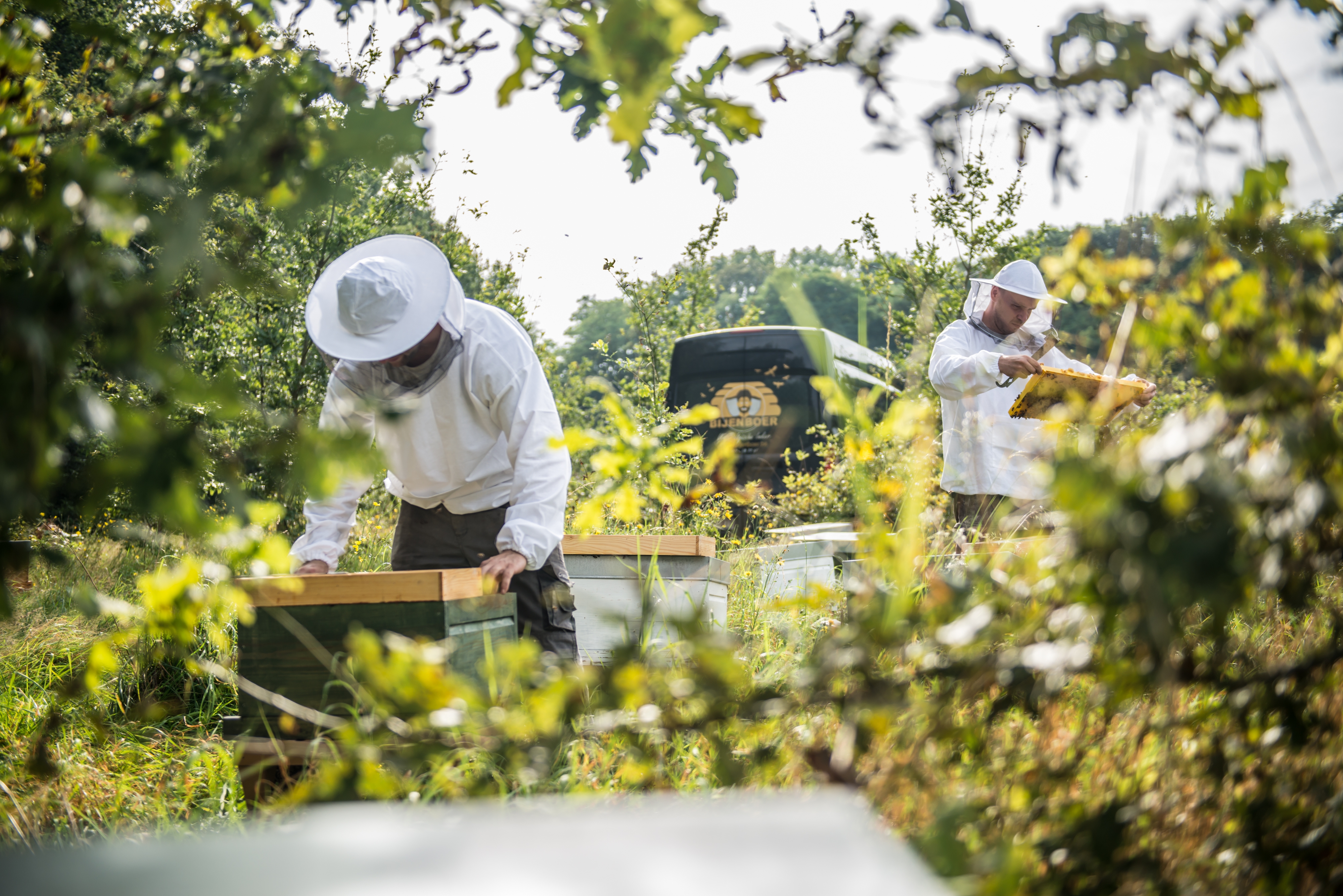 Straffestreek Bijenboer 10 4000px