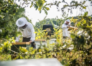 Straffestreek Bijenboer 10 4000px