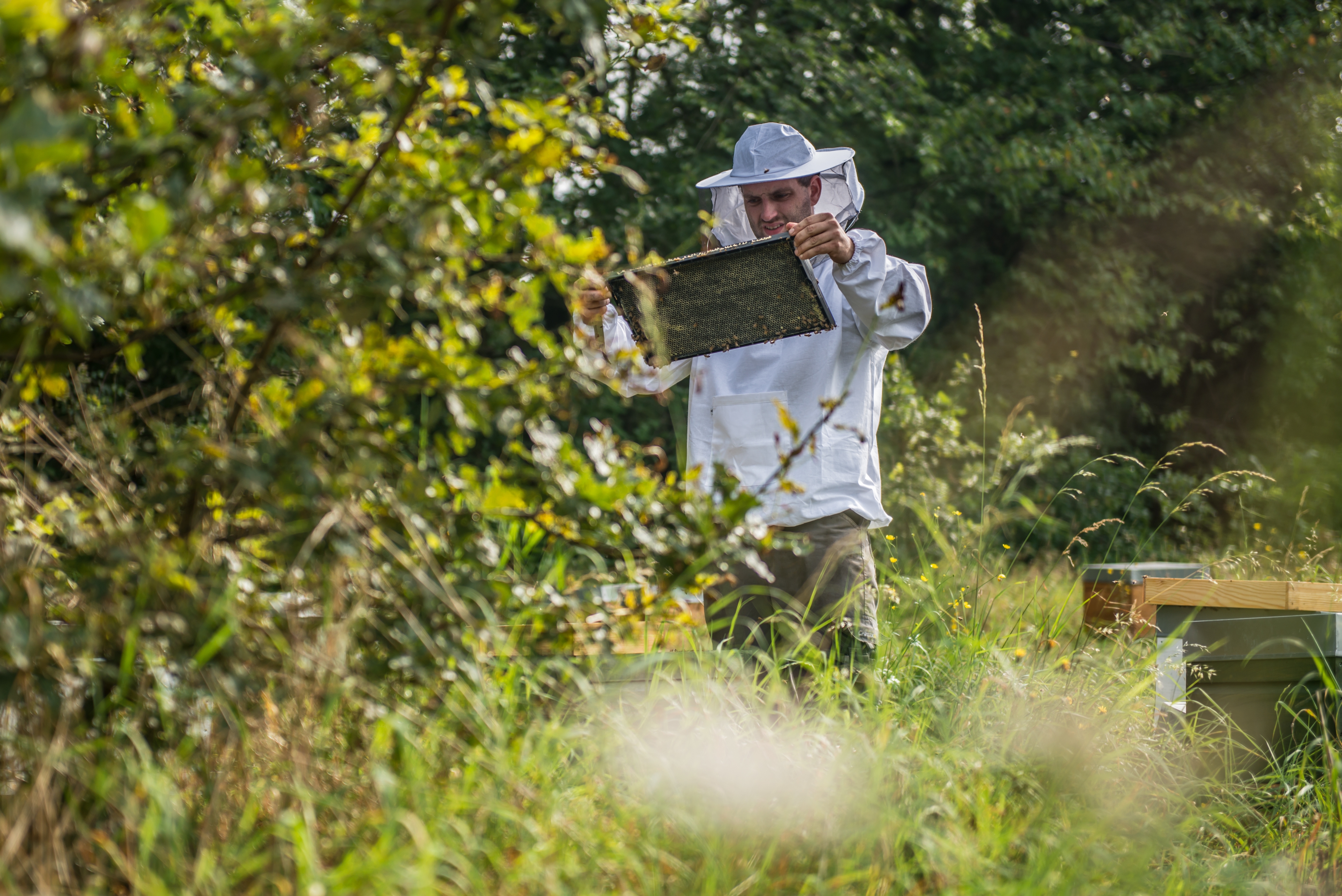 Straffestreek Bijenboer 2 4000px