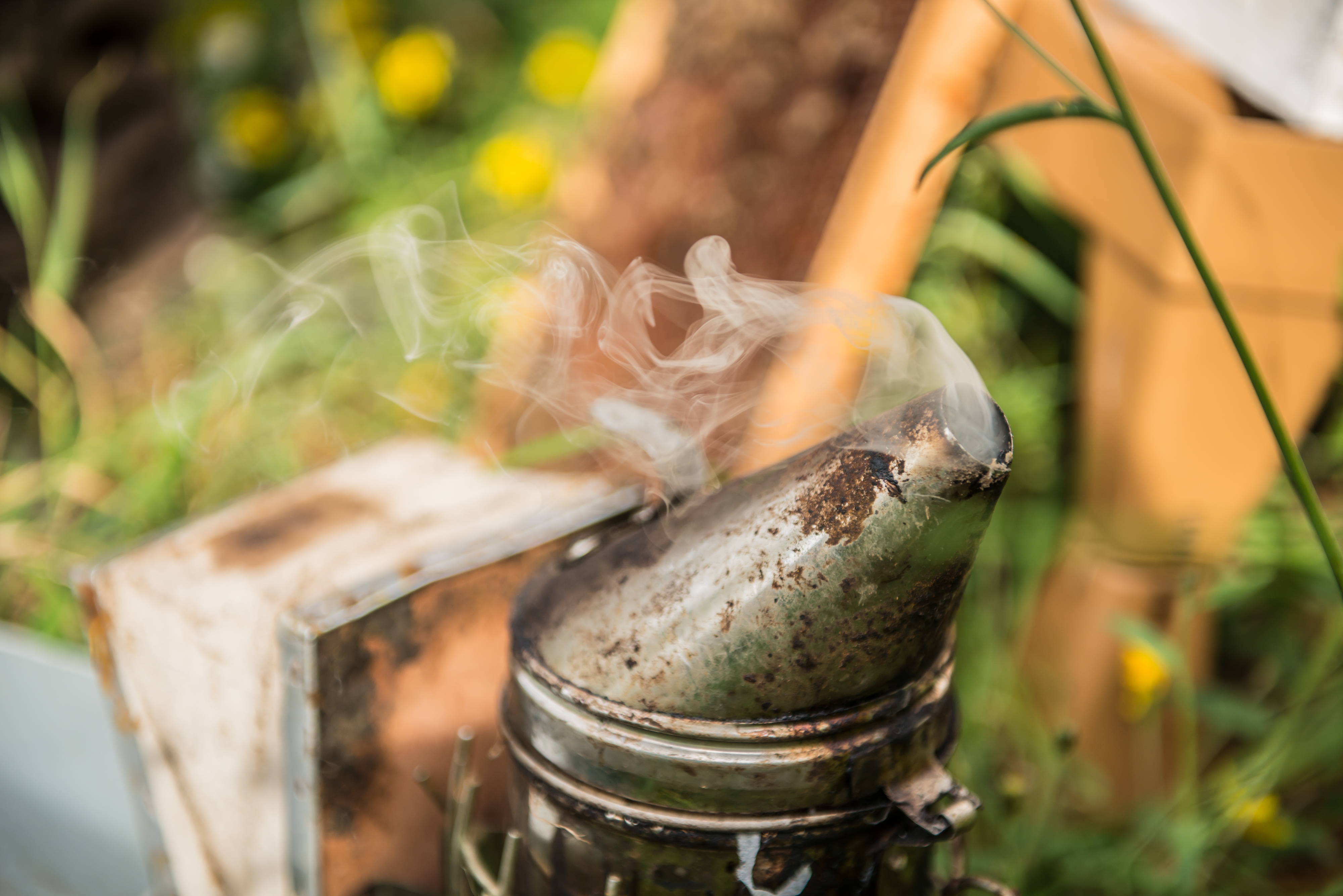 Straffestreek Bijenboer 30 4000px