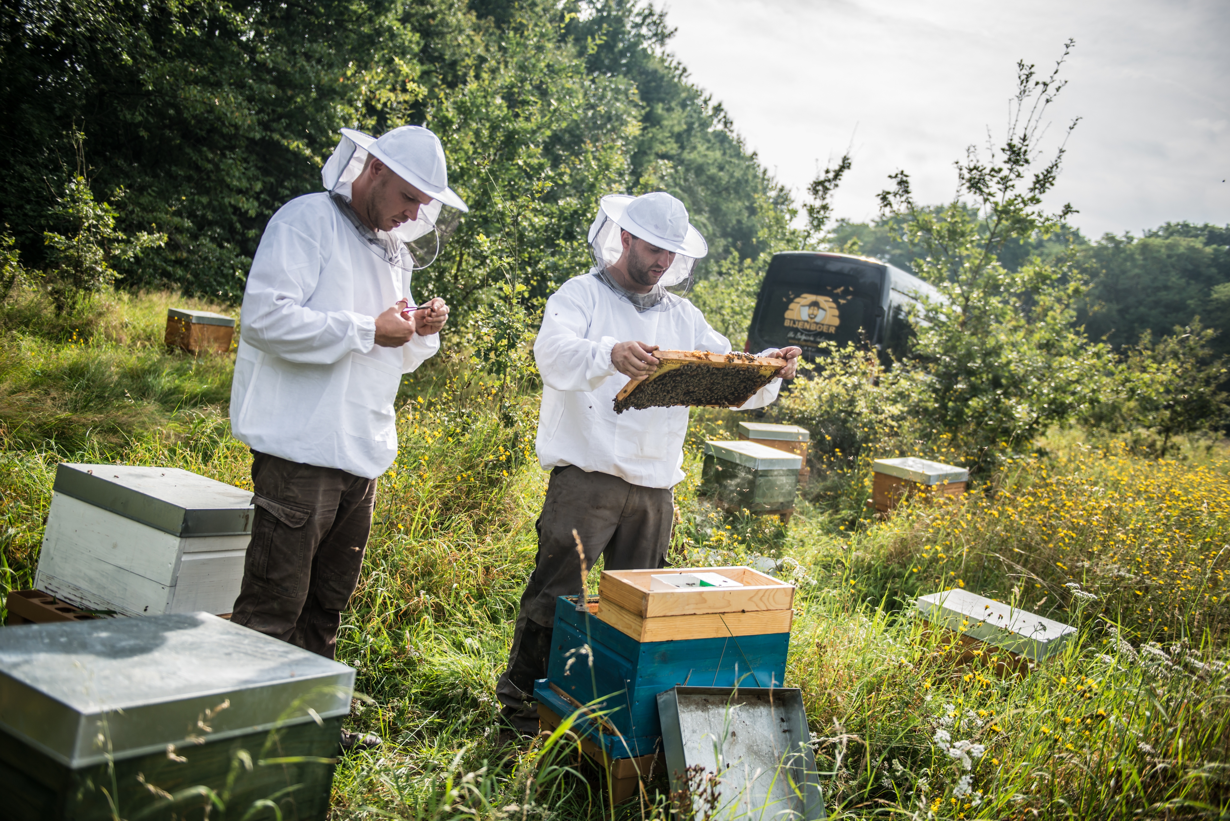Straffestreek Bijenboer 33 4000px