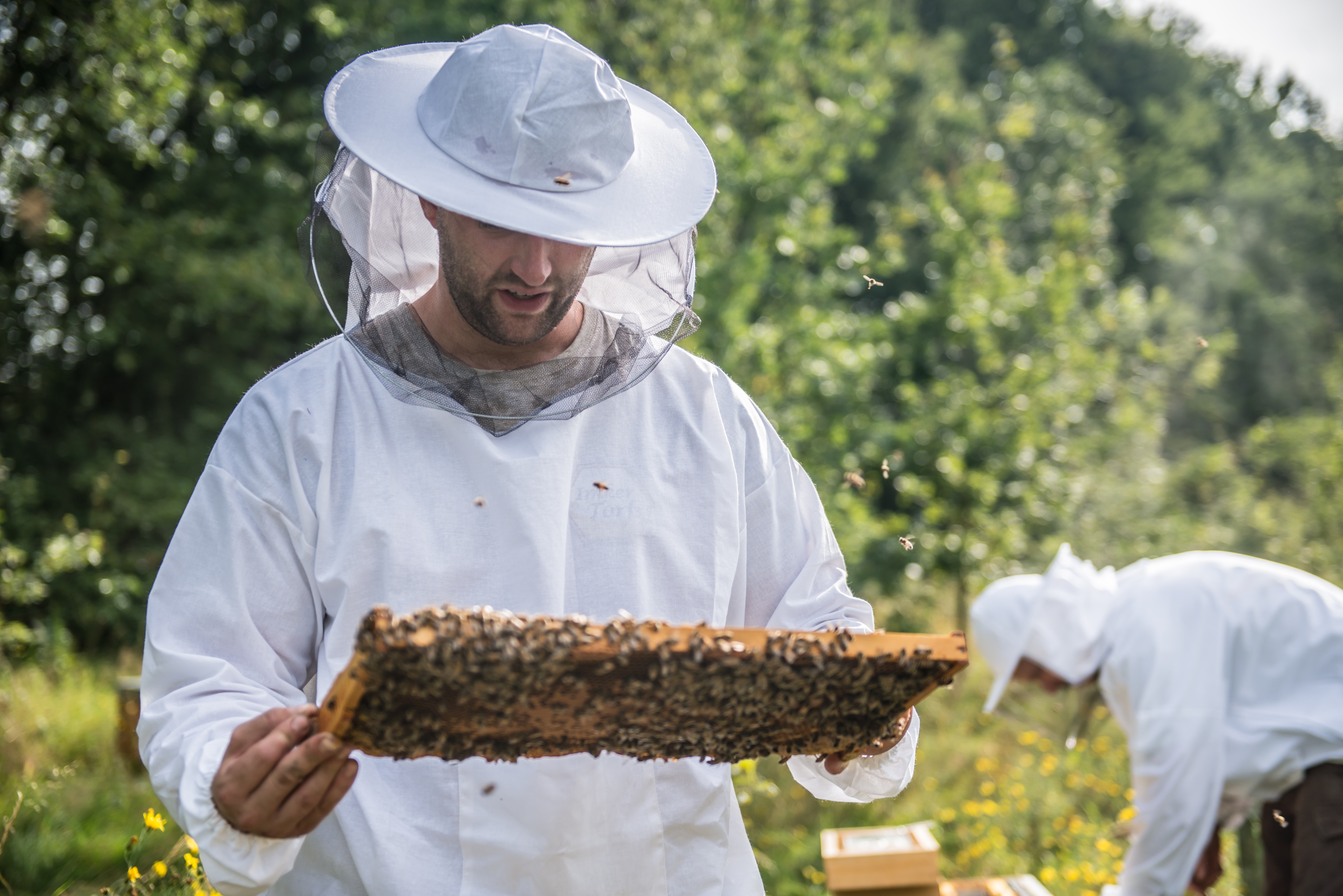 Straffestreek Bijenboer 34 4000px