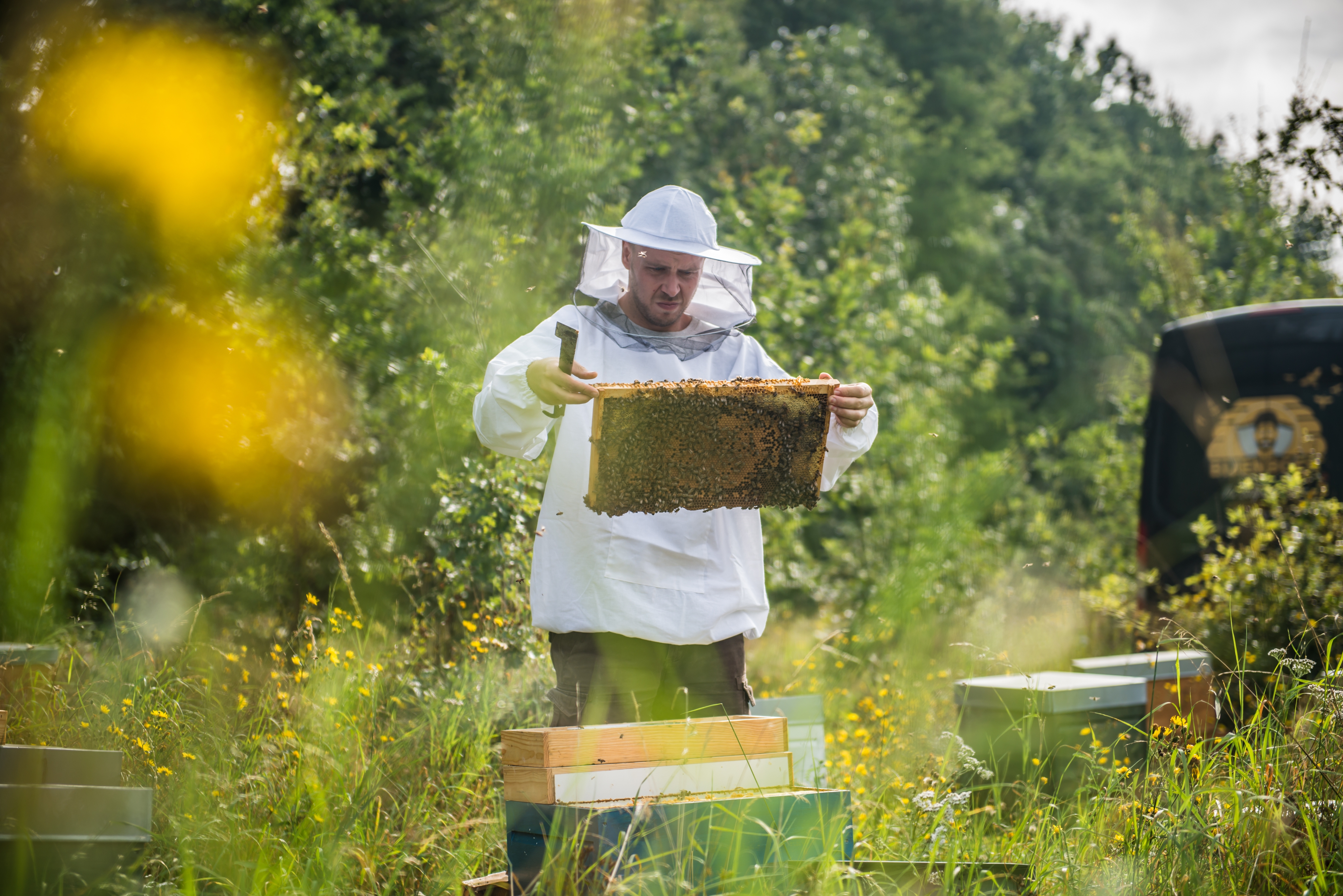 Straffestreek Bijenboer 5 4000px
