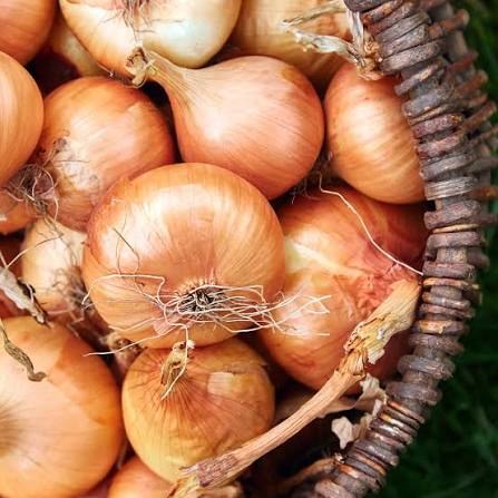 4928 E401 DC22 4867 AC31 19 C6 F99 BB41 F 1