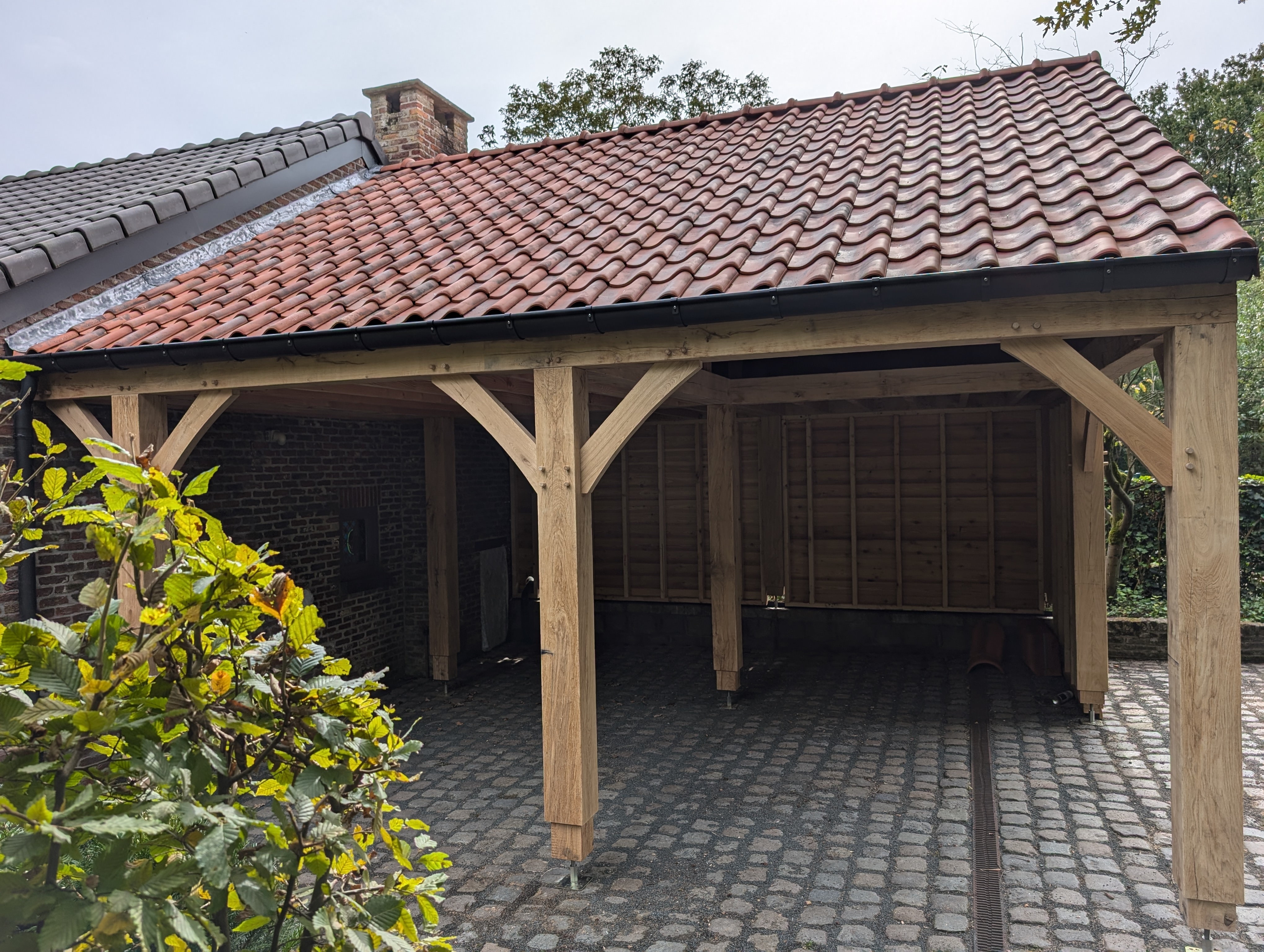 PXL 20241008 111748229