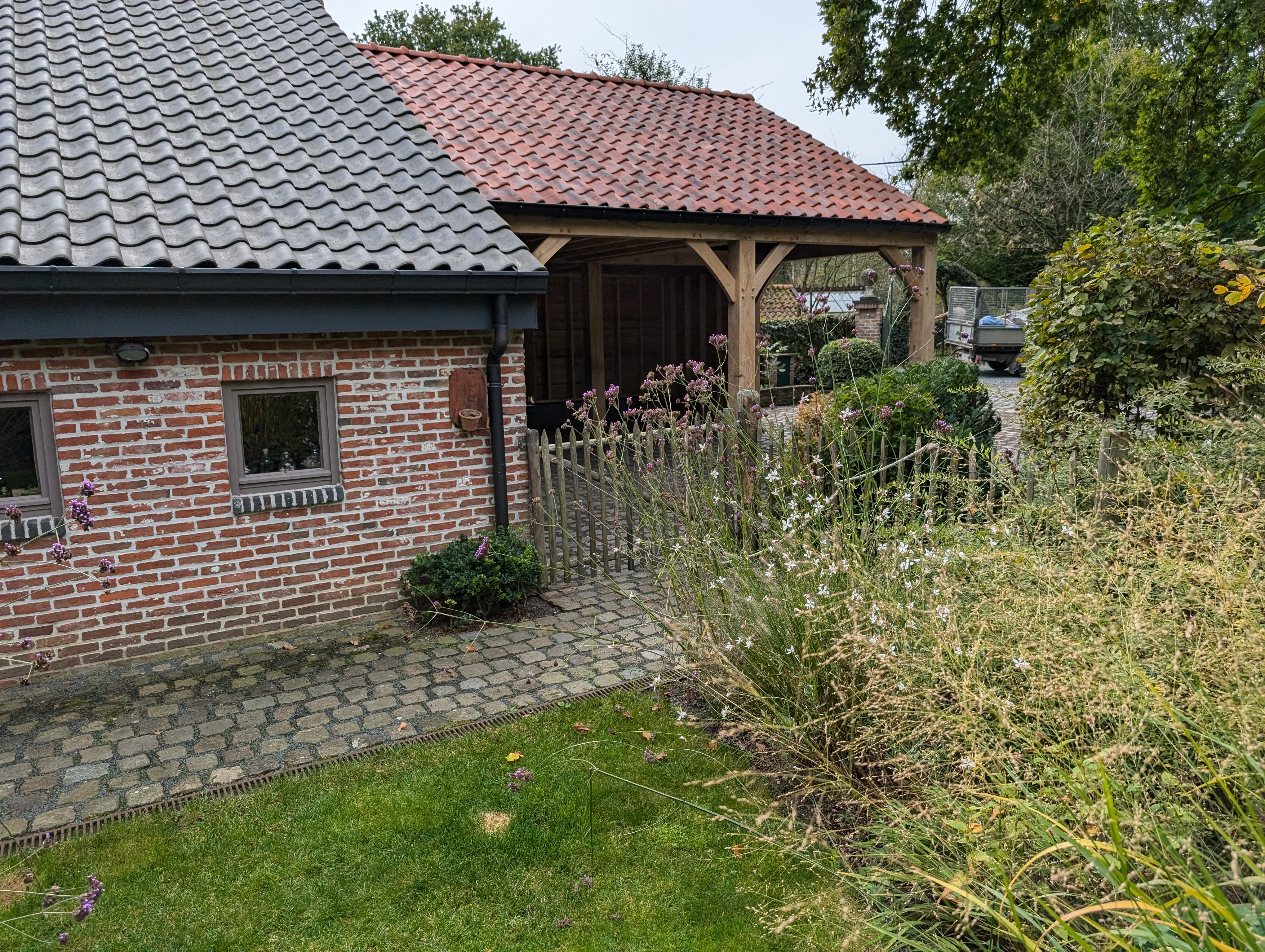 PXL 20241008 112941582