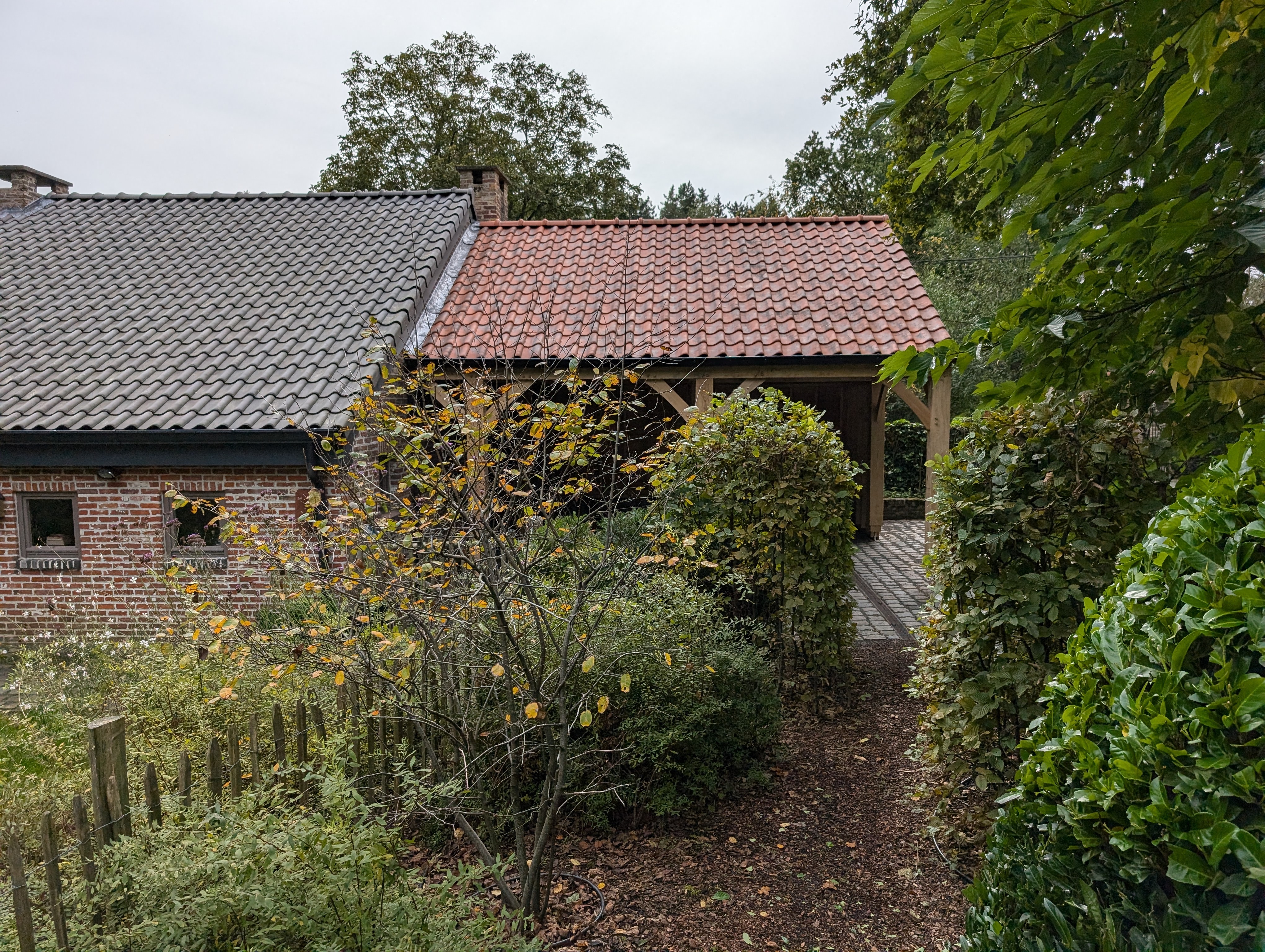 PXL 20241008 113008782