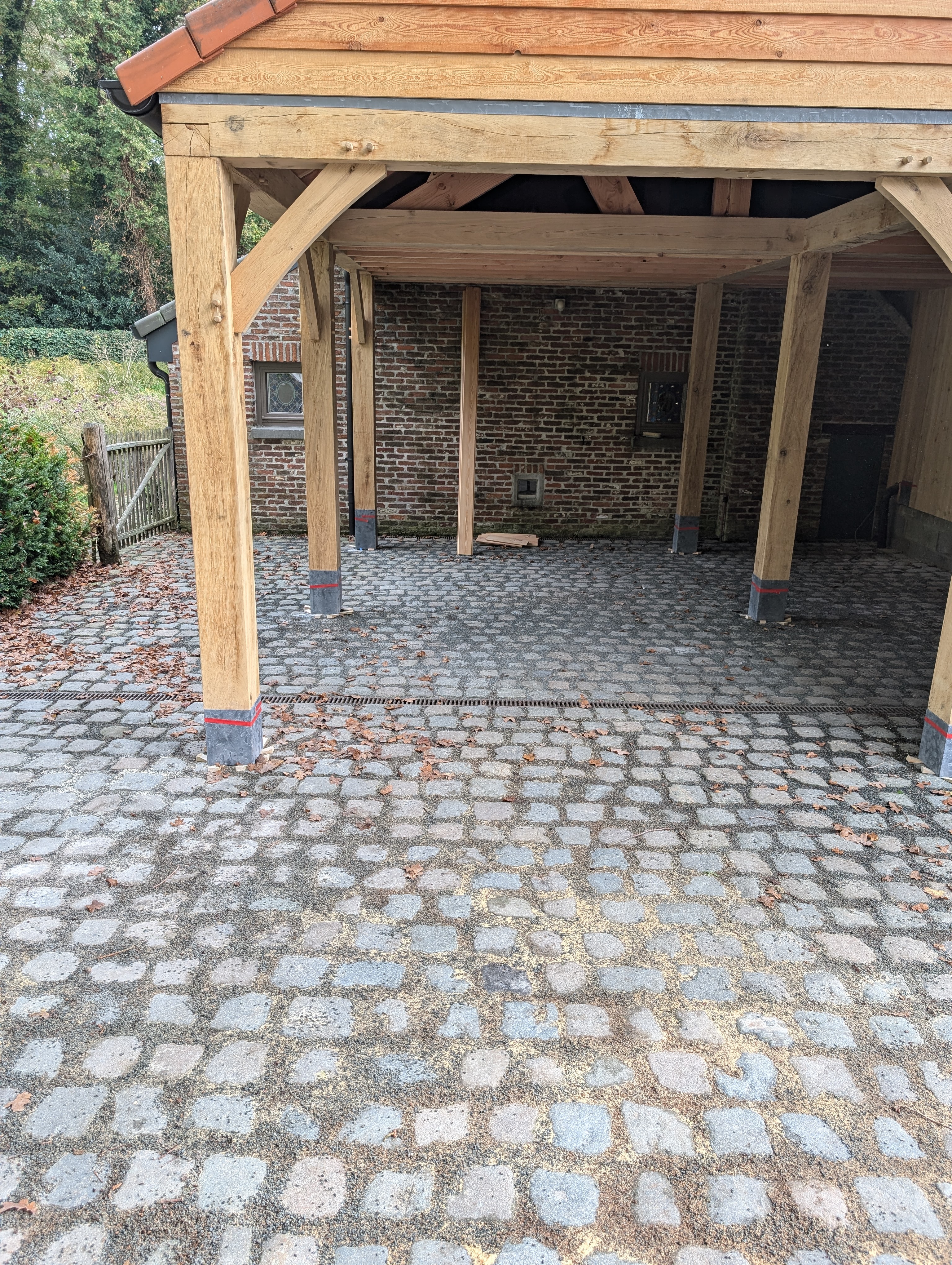 PXL 20241031 094535650