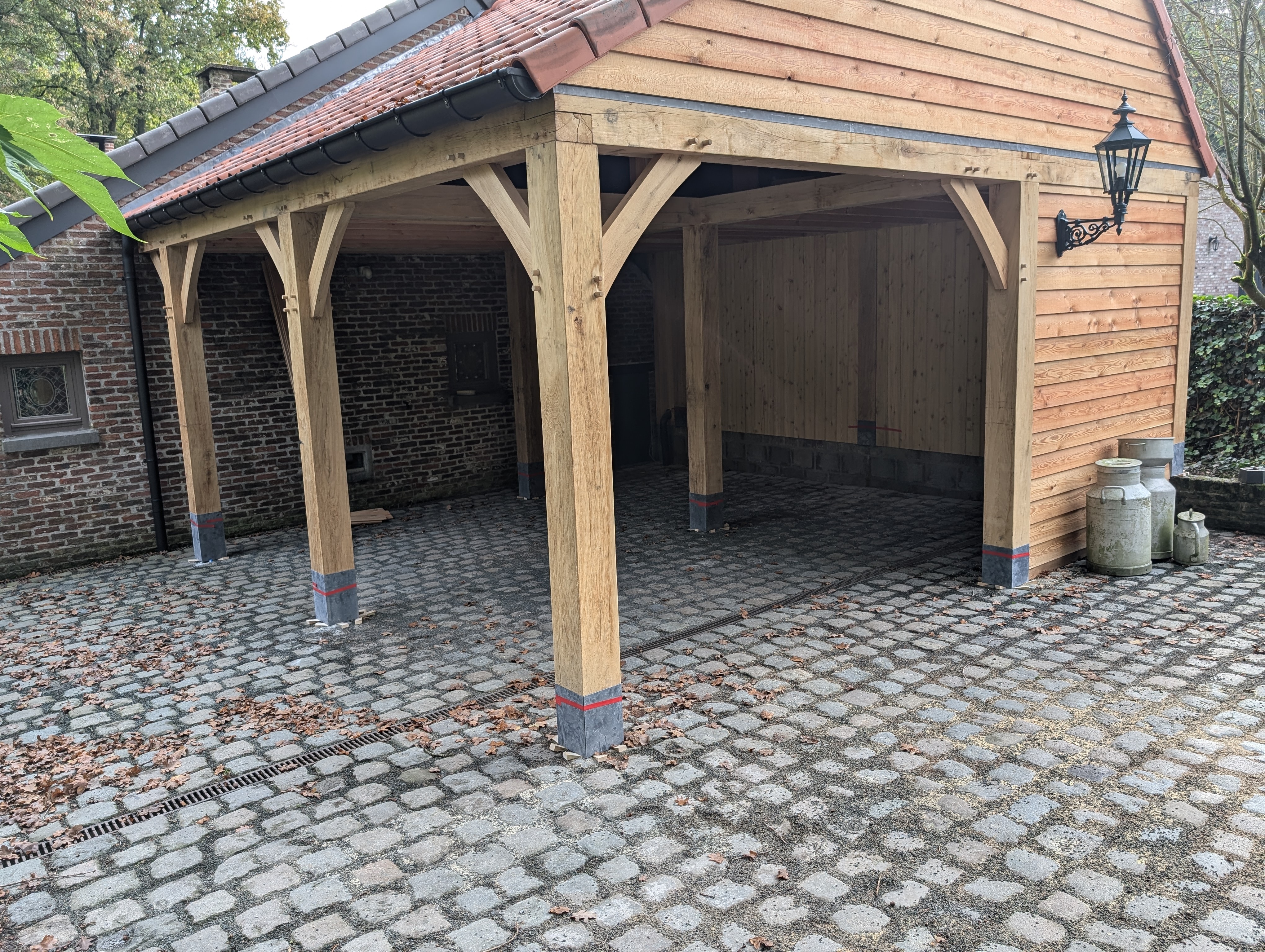 PXL 20241031 094554870