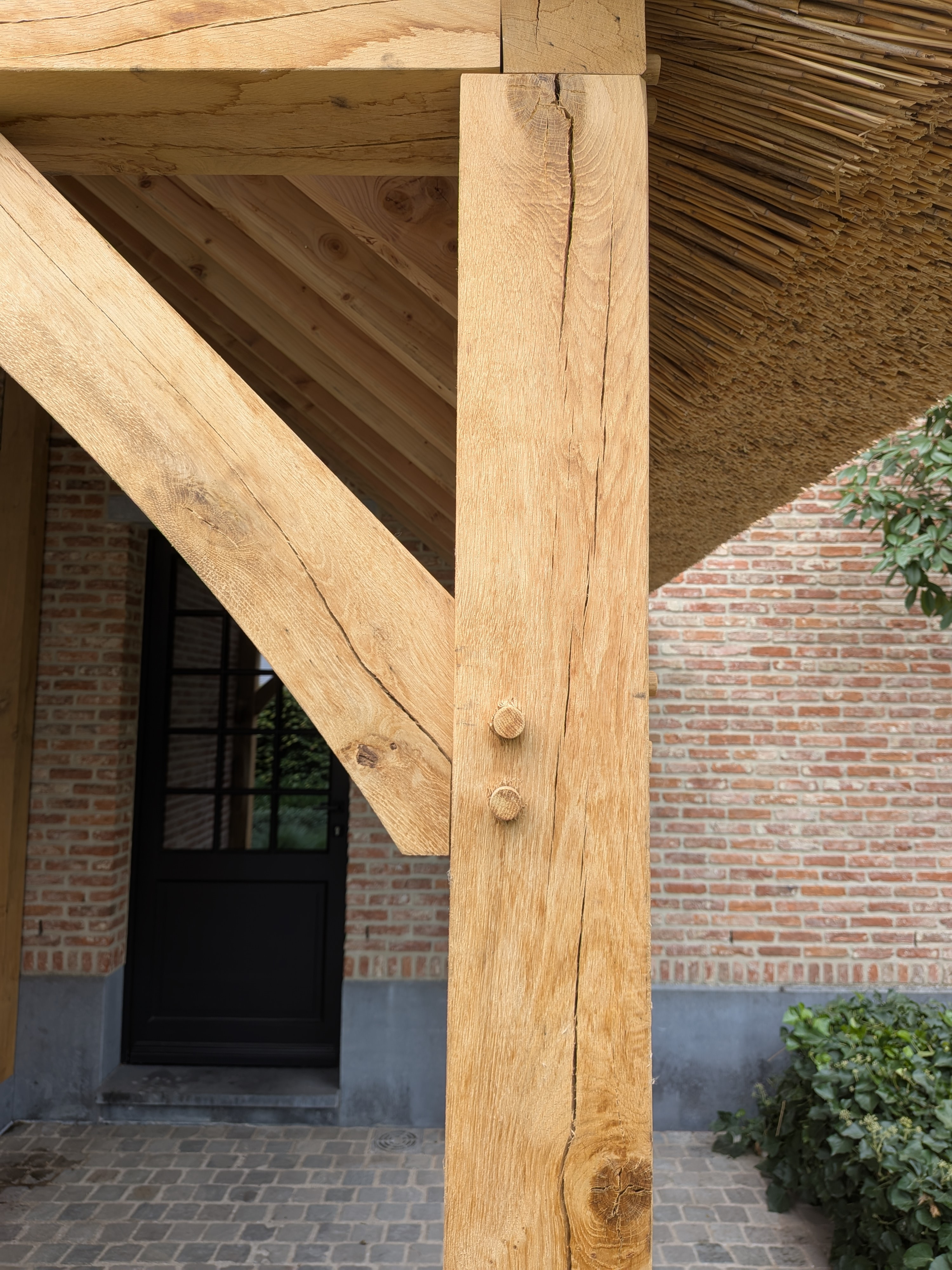 PXL 20250903 093811672