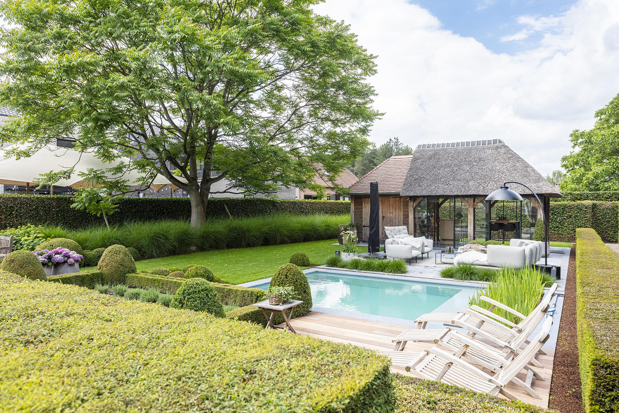 Candekoak228 optimized