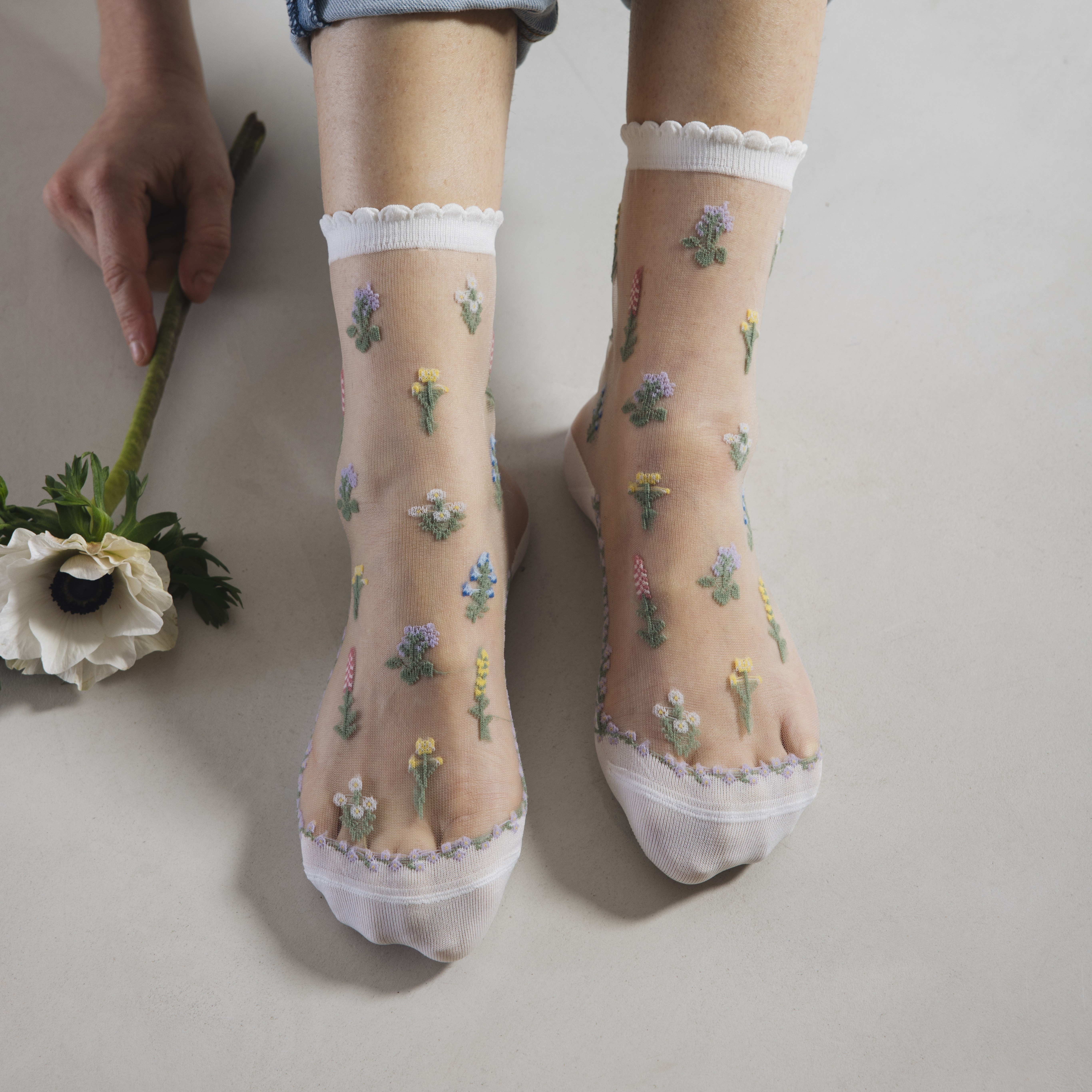 Fleurs Des Champs1 5