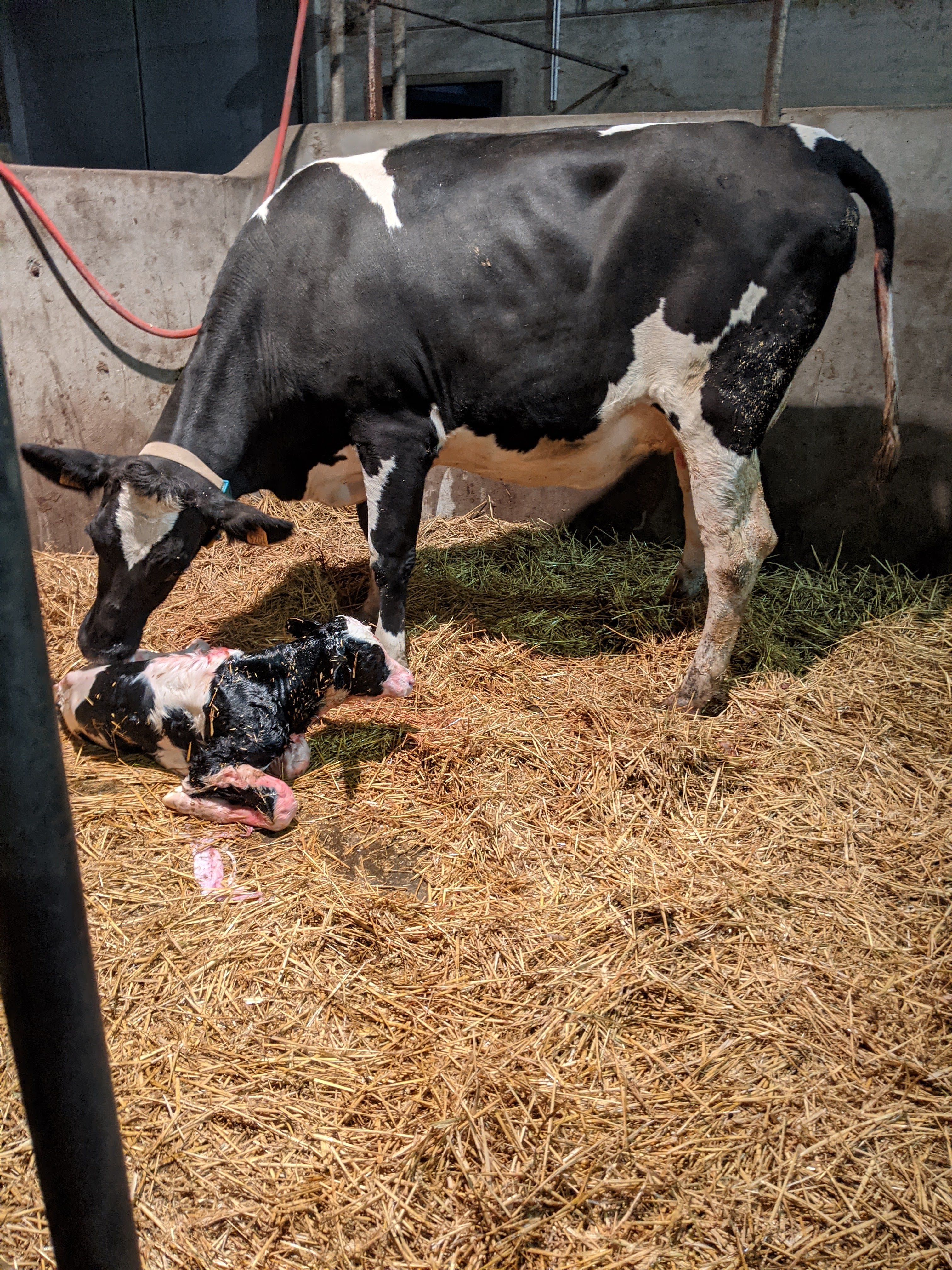 PXL 20201017 213731980