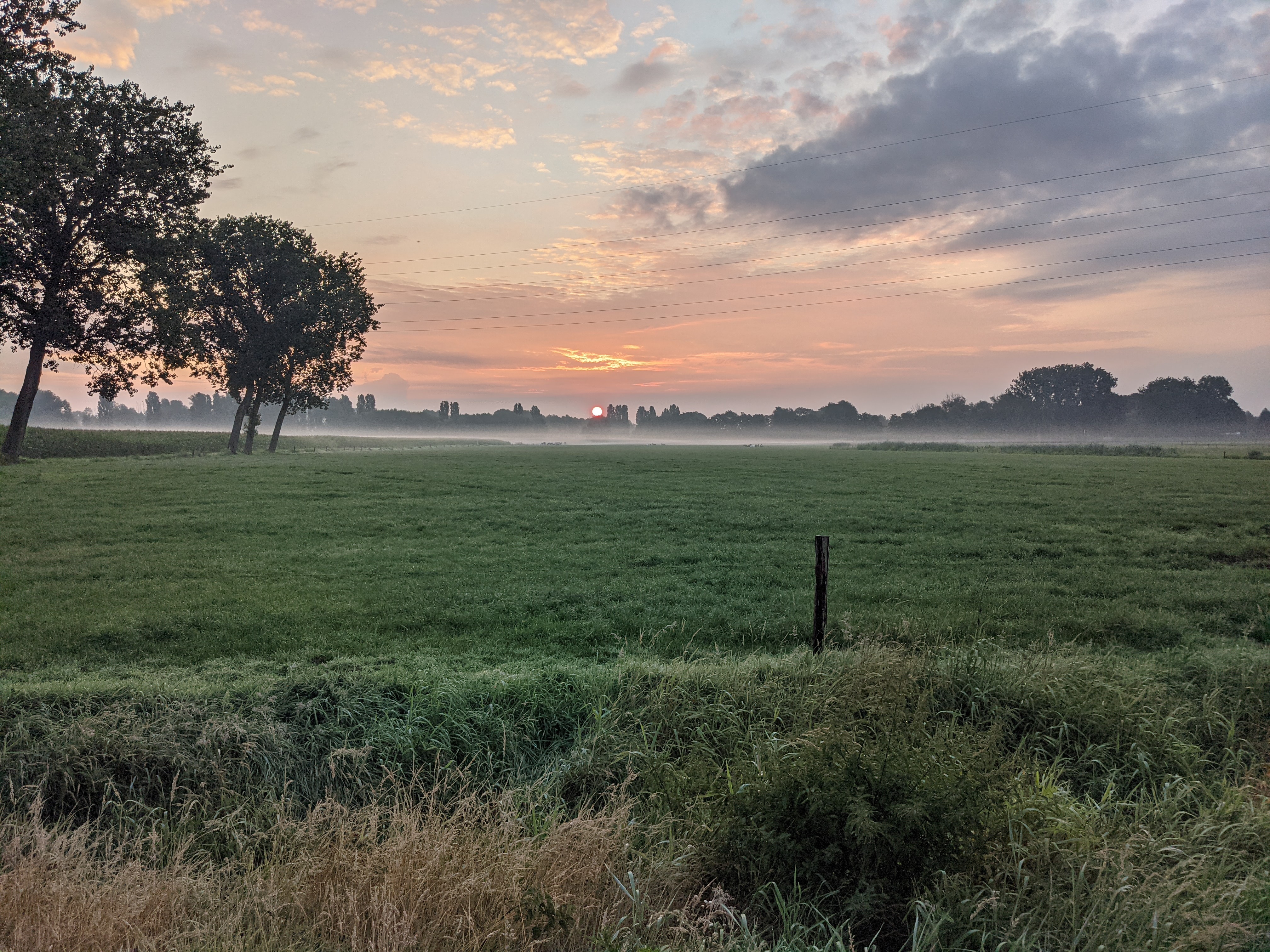 PXL 20210804 043047326