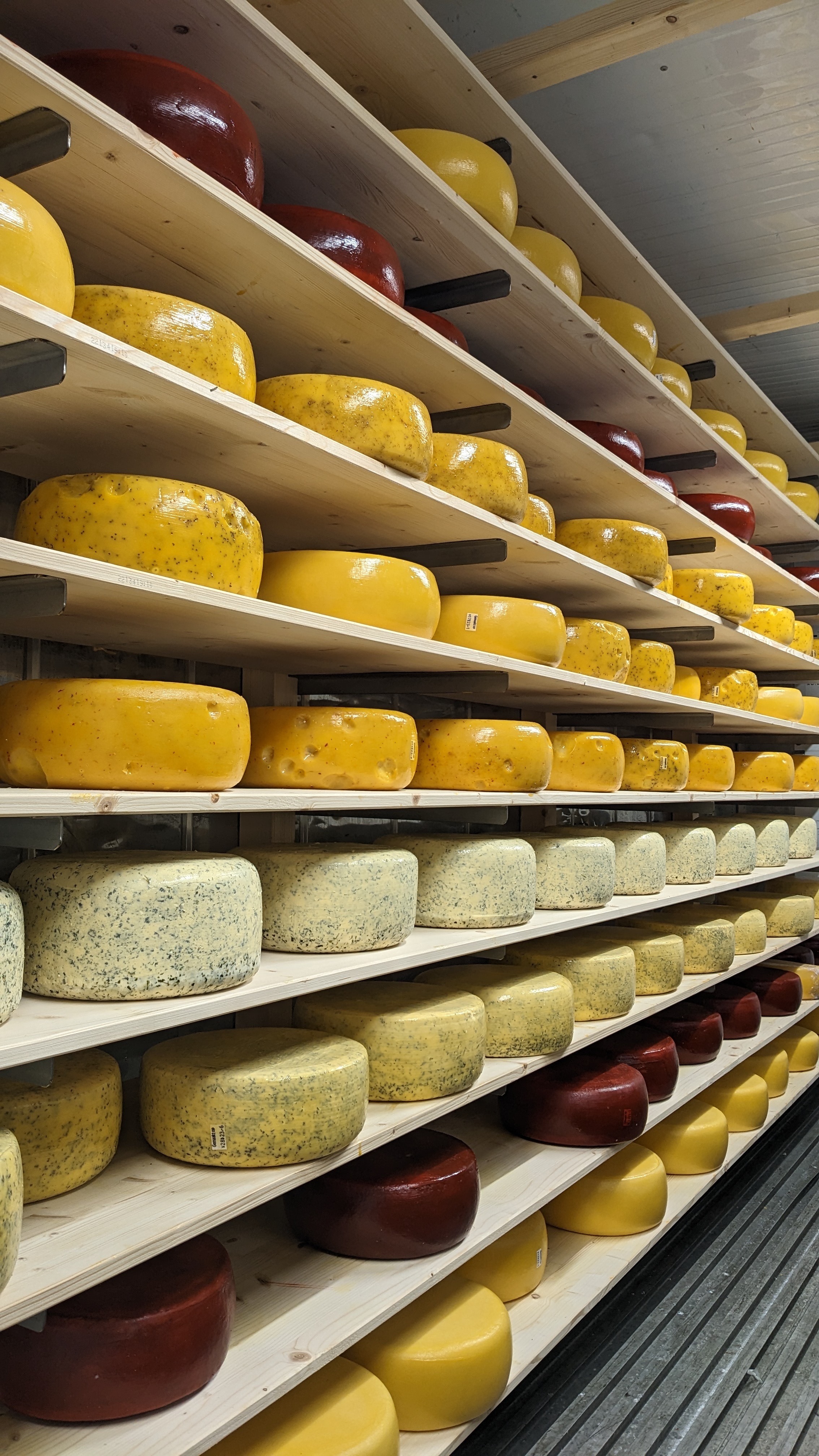 PXL 20230506 183211046