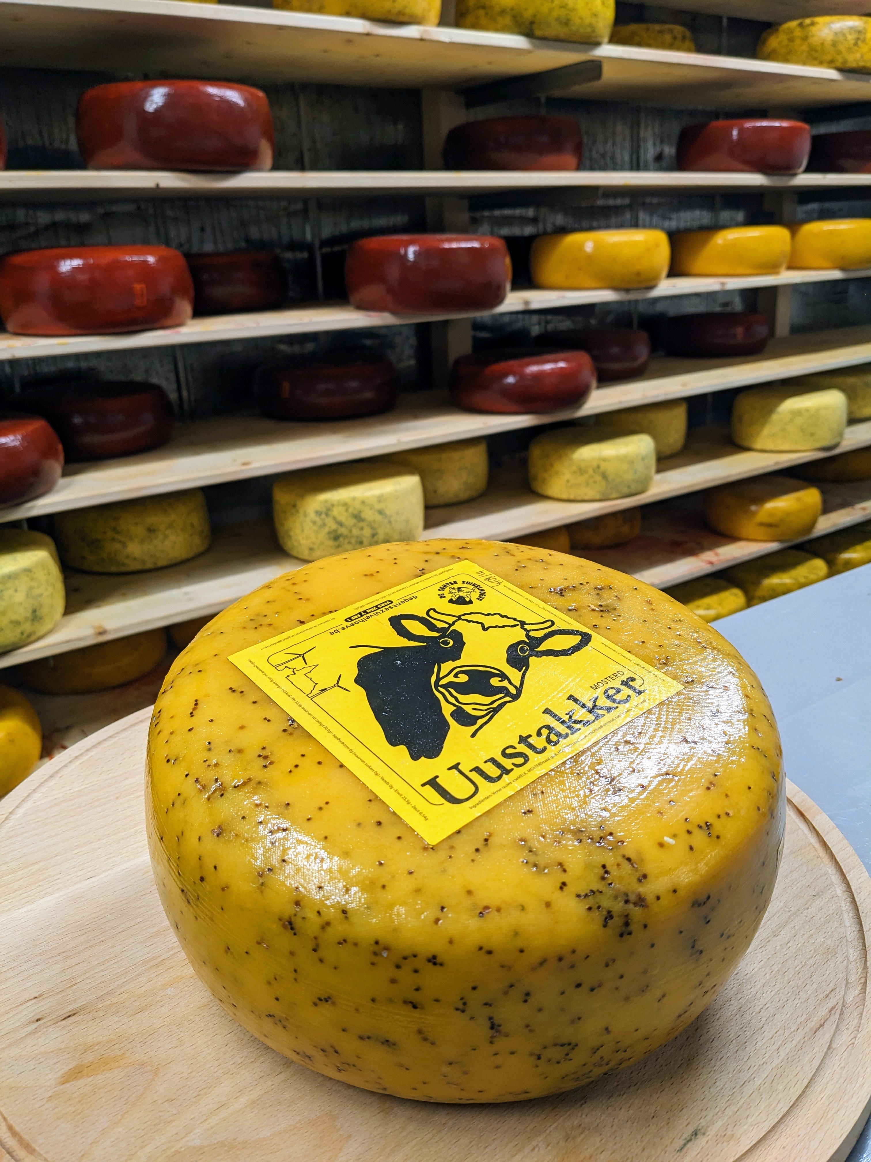 PXL 20231206 1000483572 1