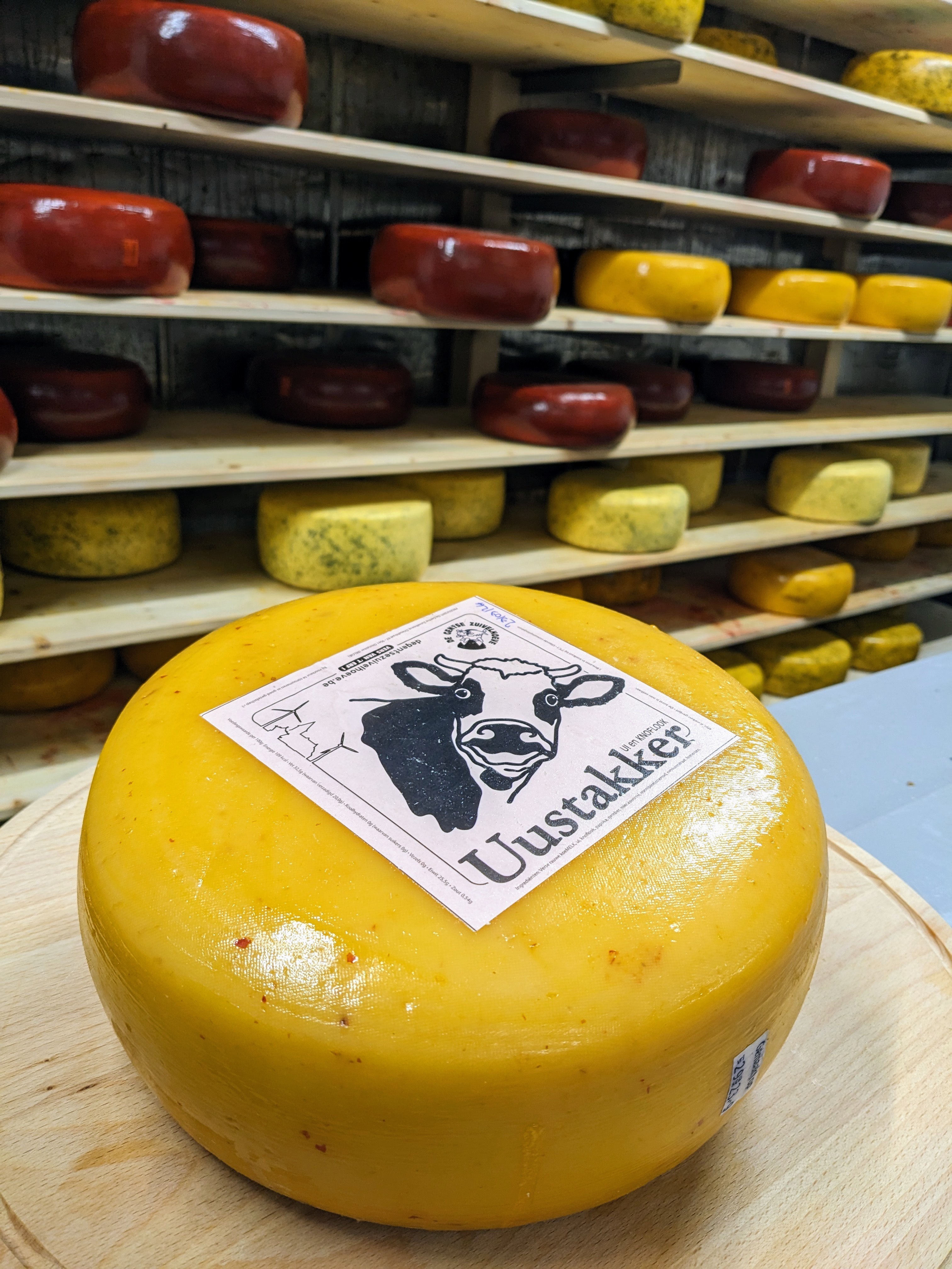 PXL 20231206 1003019882