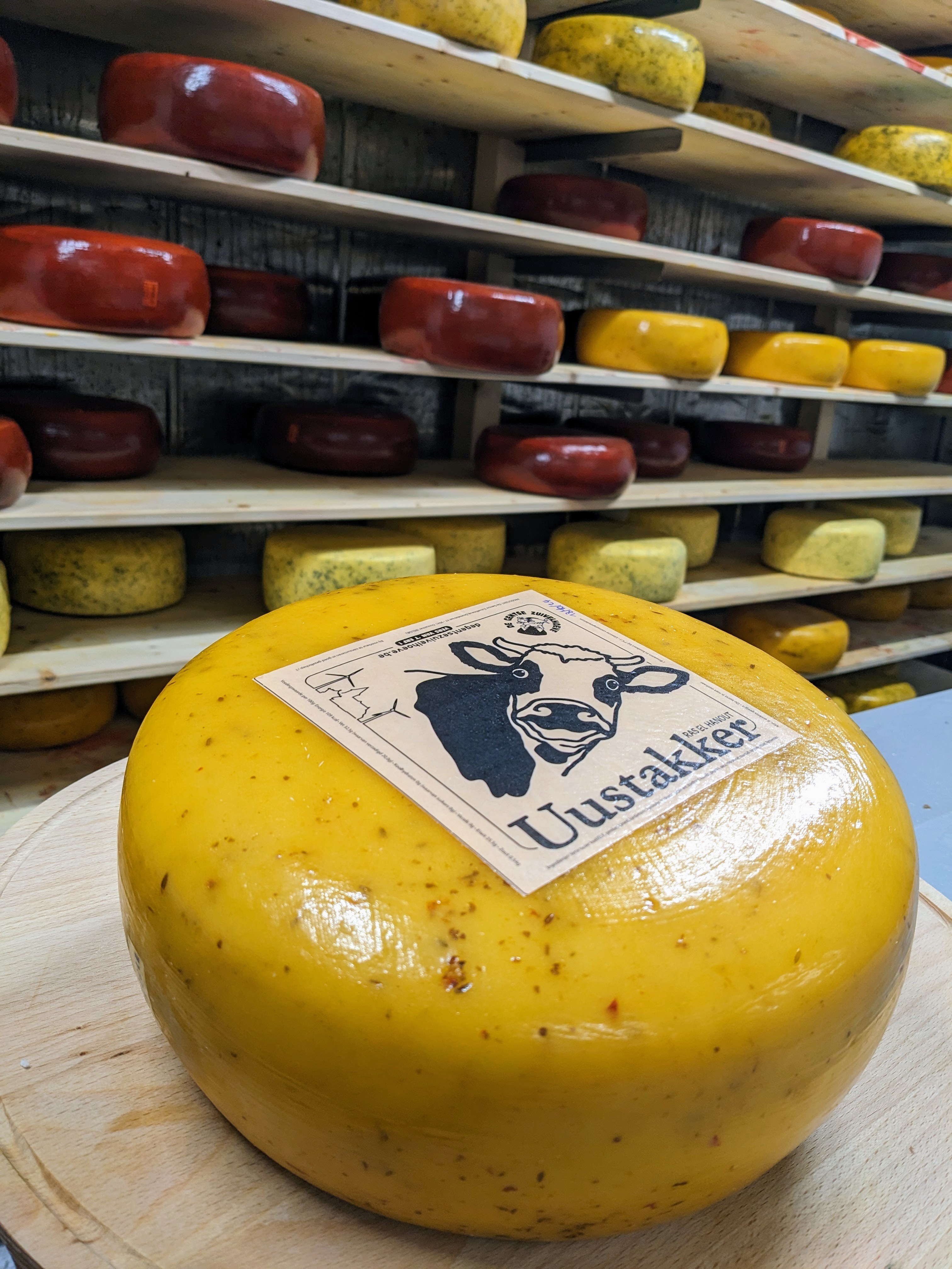 PXL 20231206 1004301802