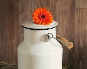 Milk can