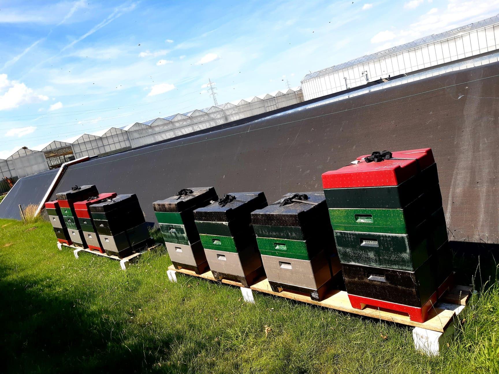 294616531 713860849720820 6660126344491473589 n