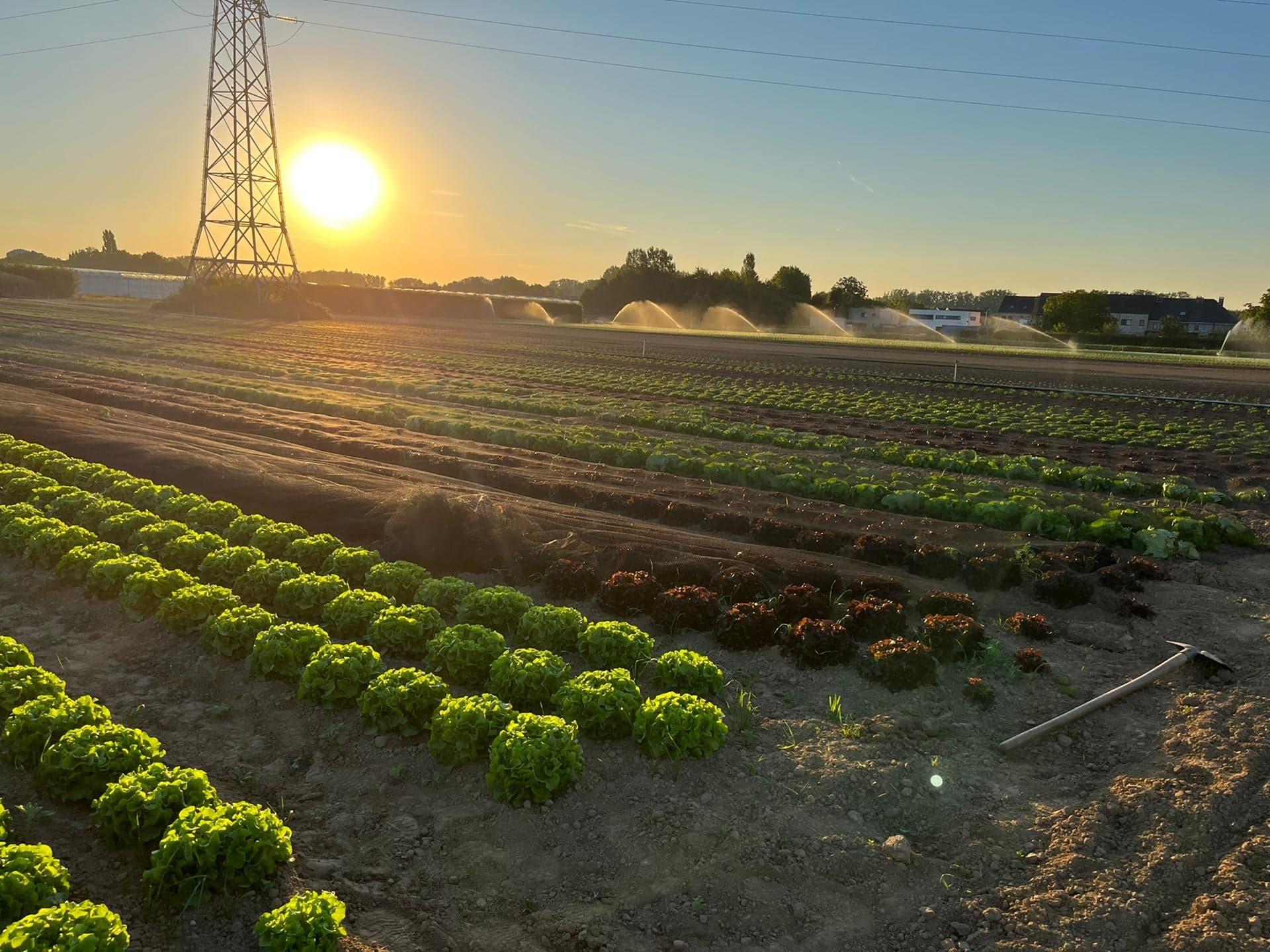 298120822 1077828313165402 4412653801938691404 n