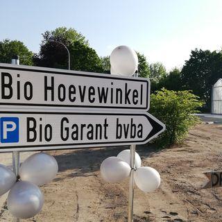 61917632 365644984143973 6756455530564157440 n