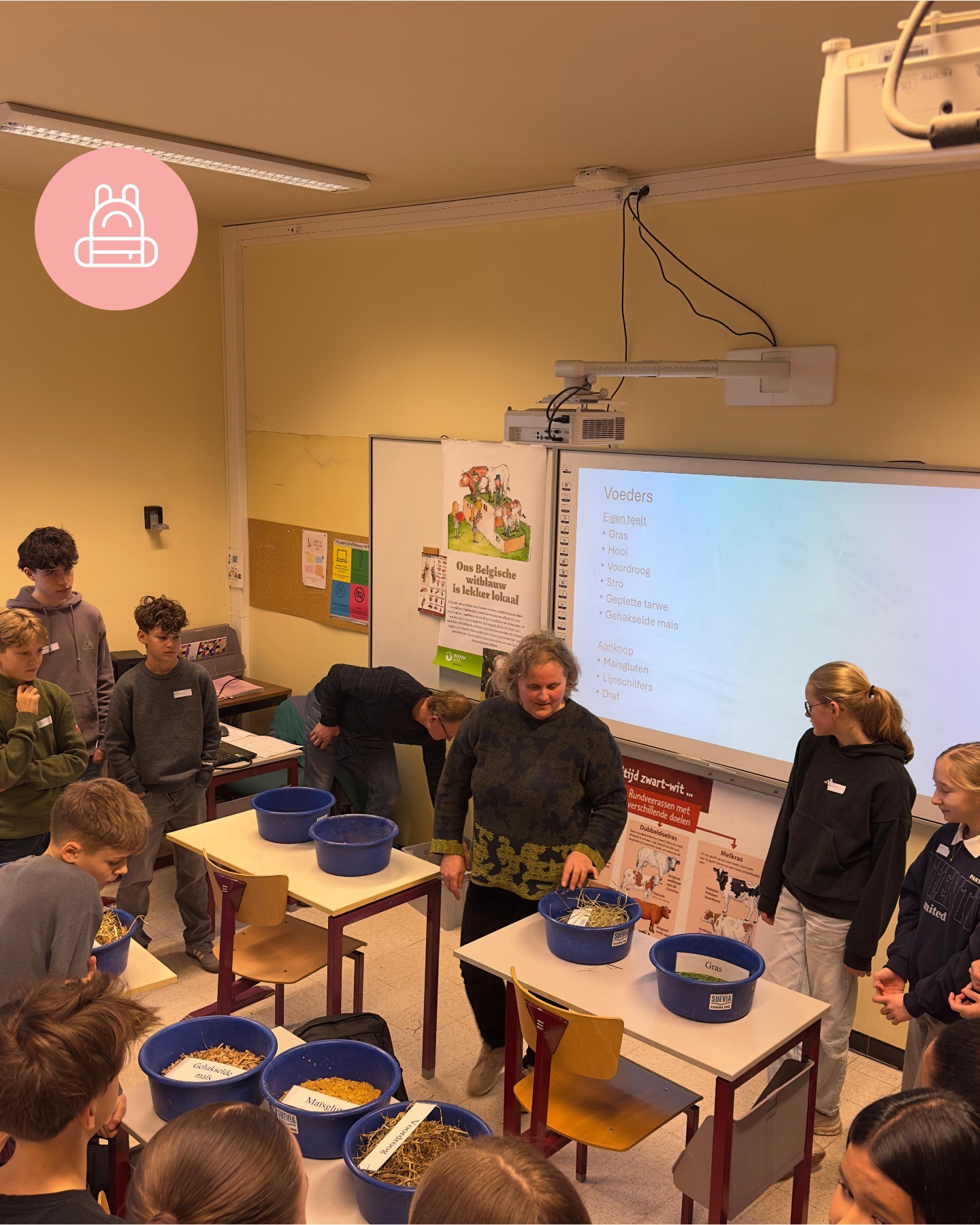 2026 01 21 landbouw Lummen