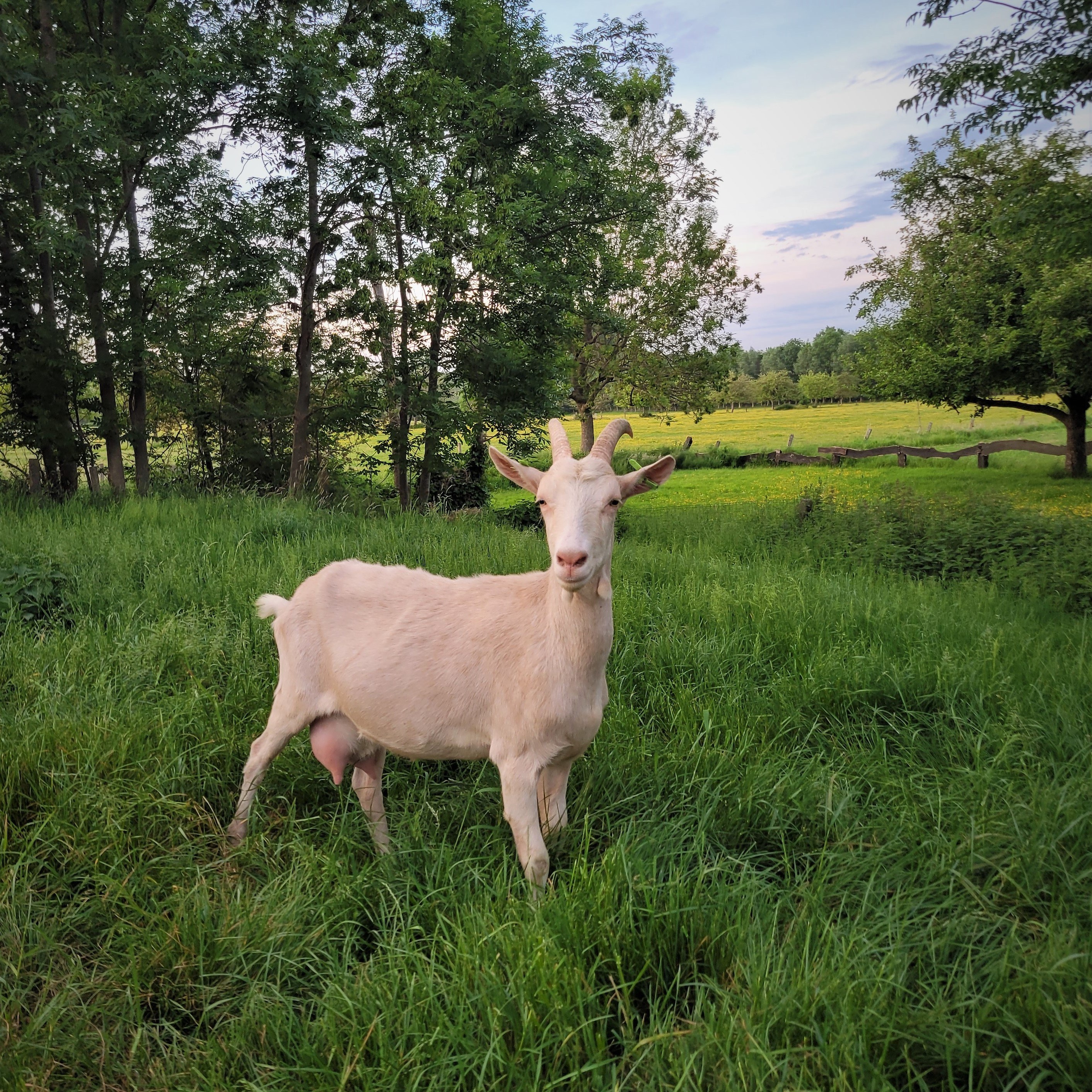 20220518 210702aangepast