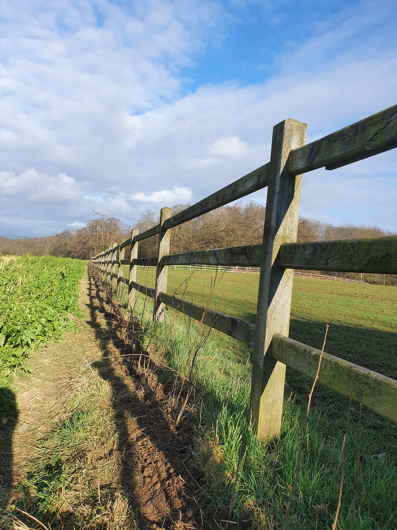 Whats App Image 2022 02 08 at 18 03 35