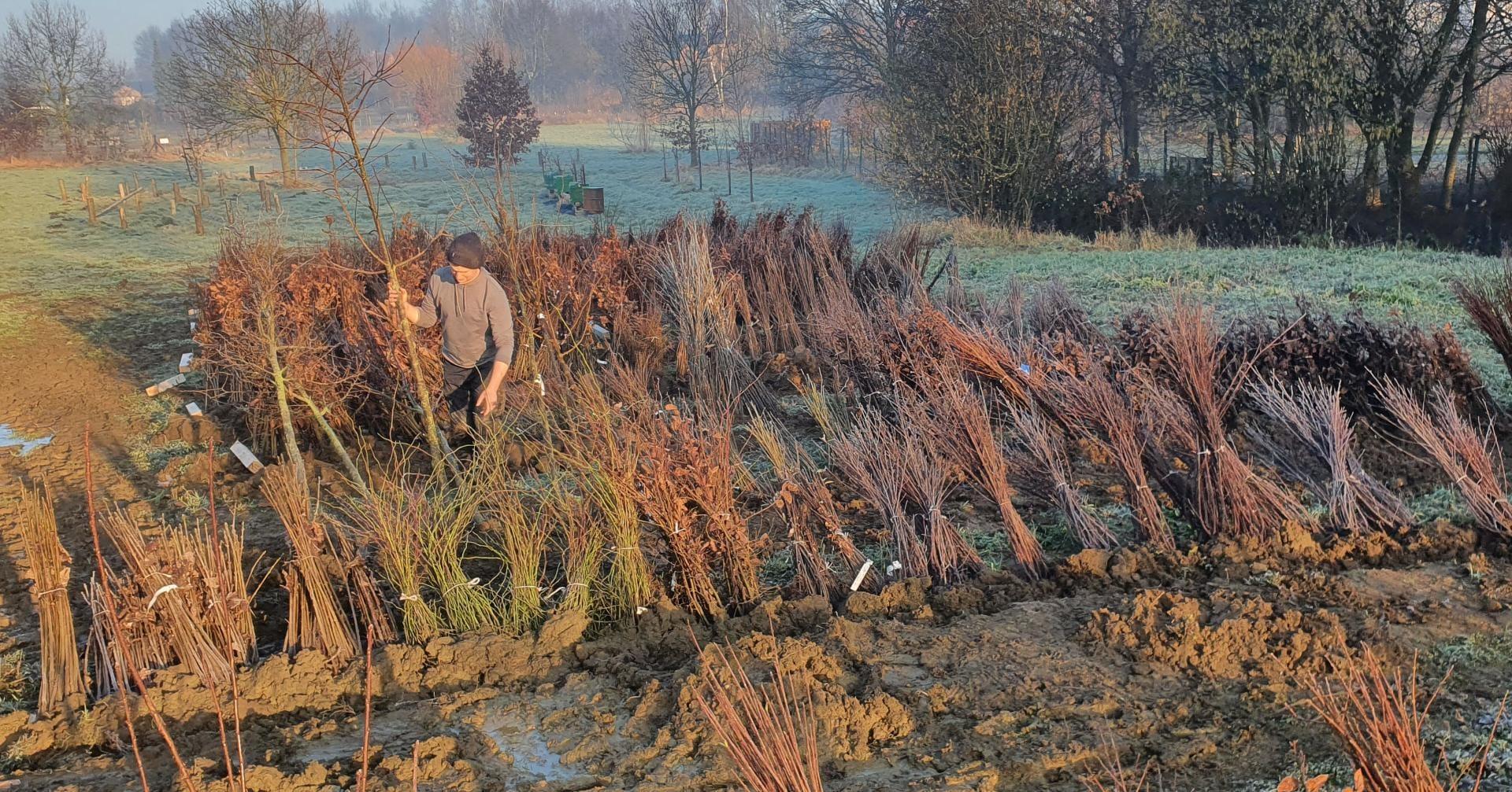 Whats App Image 2022 02 08 at 18 05 30