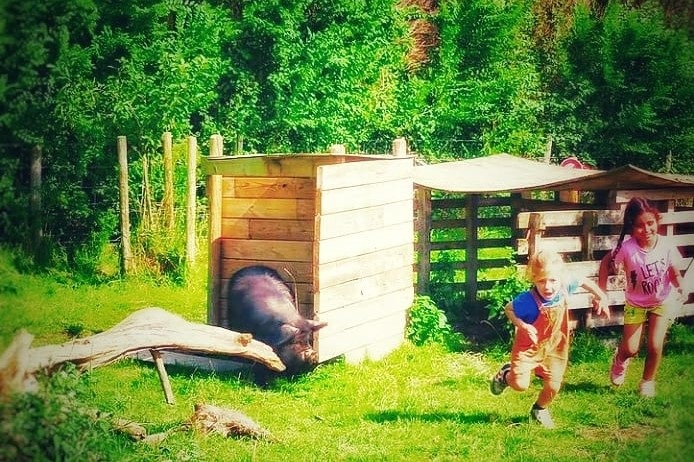 IMG 20210828 105030 987 2