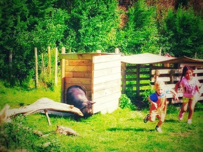 IMG 20210828 105030 987 2