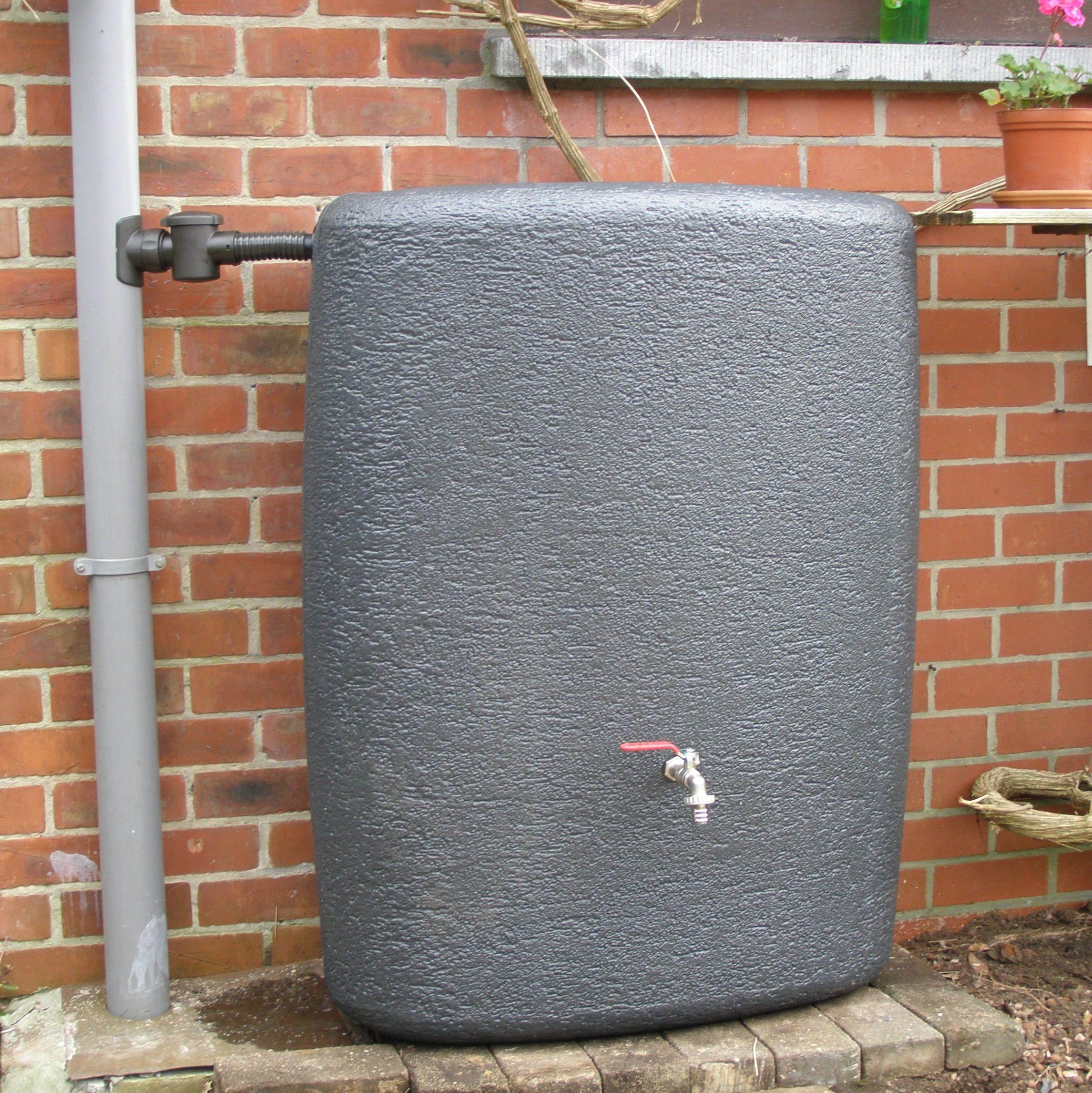 275L regenton Terranova