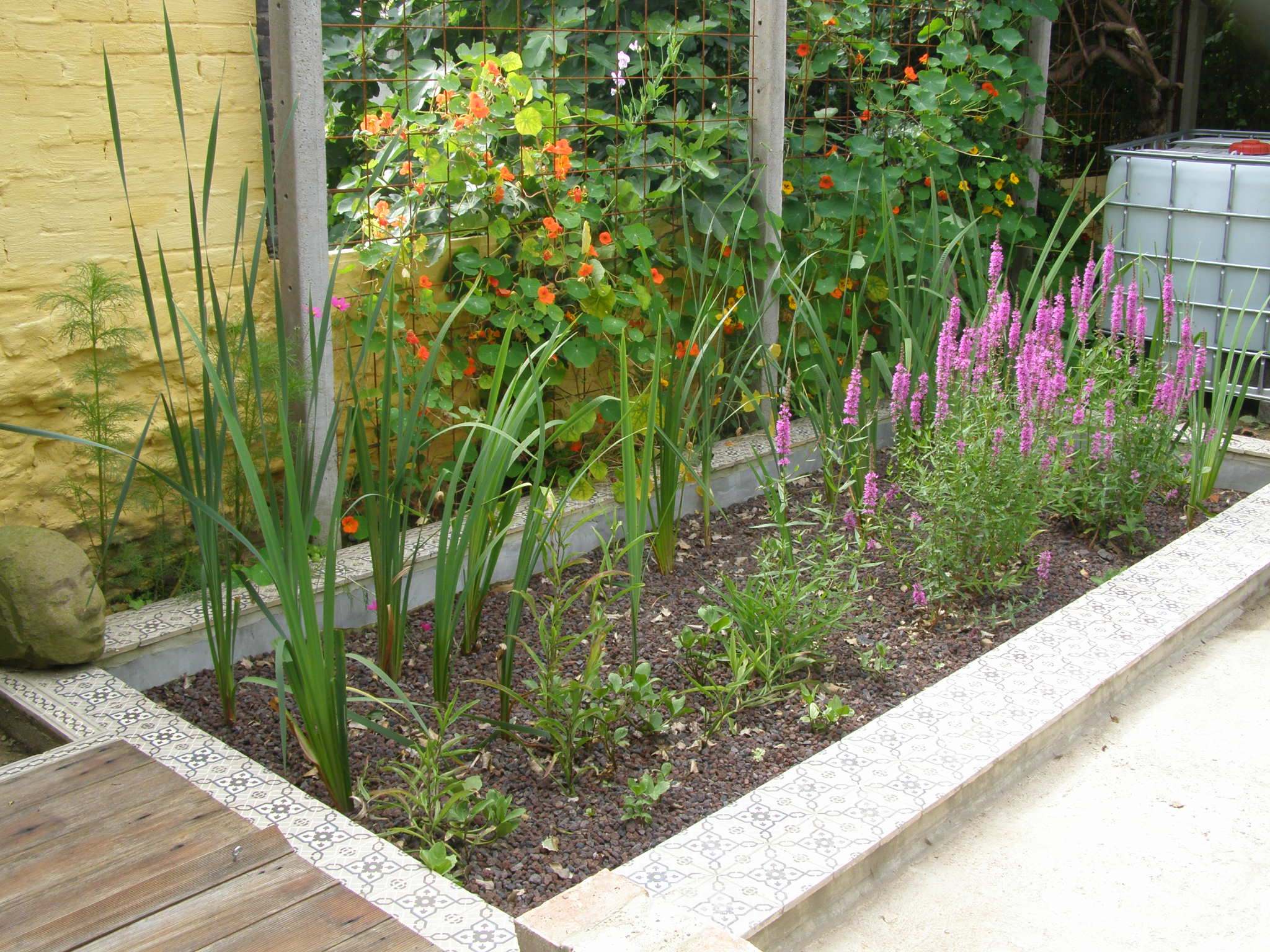 Regenwatersysteem 100% off grid