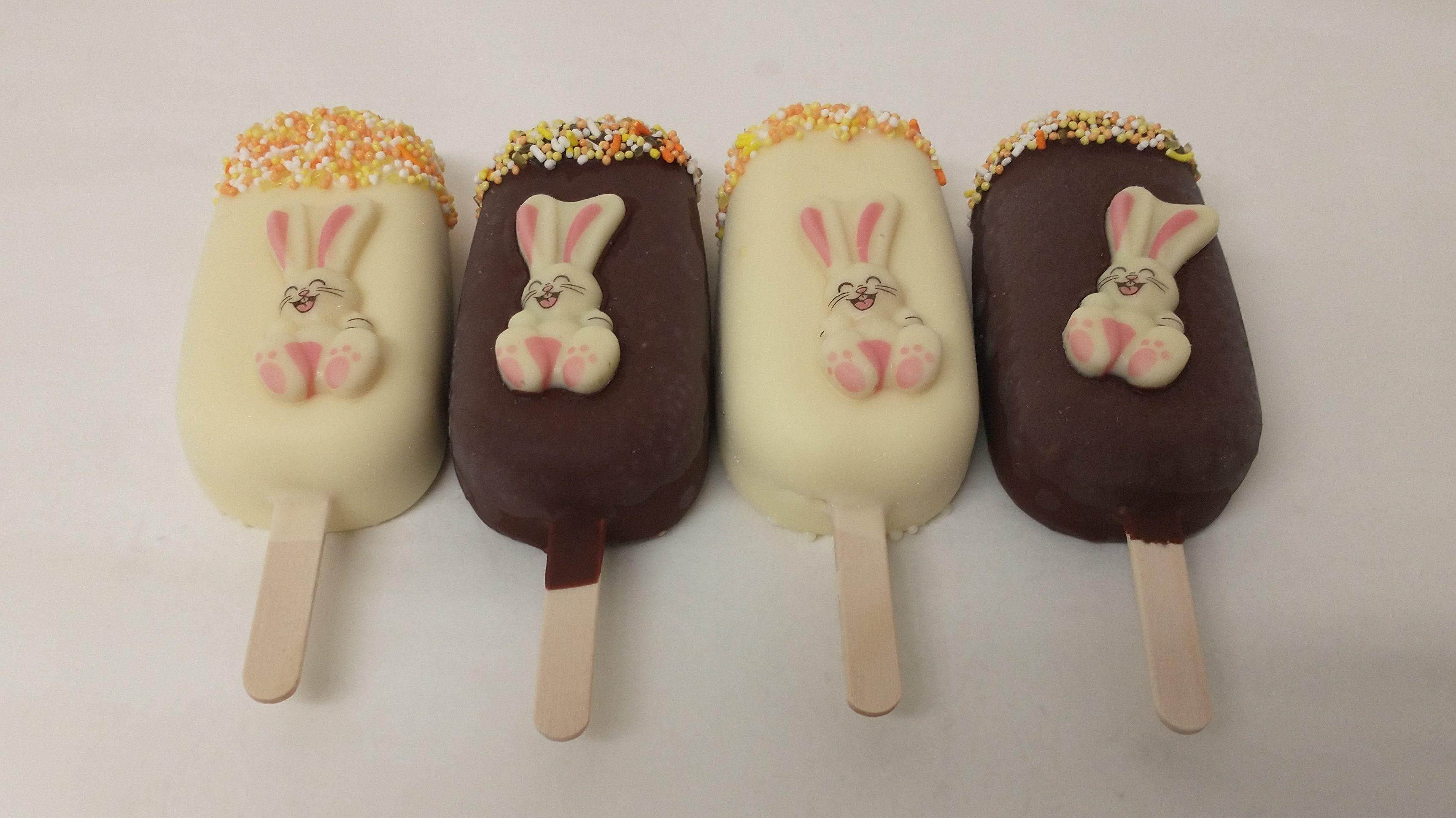 IMG 20230312 112240649