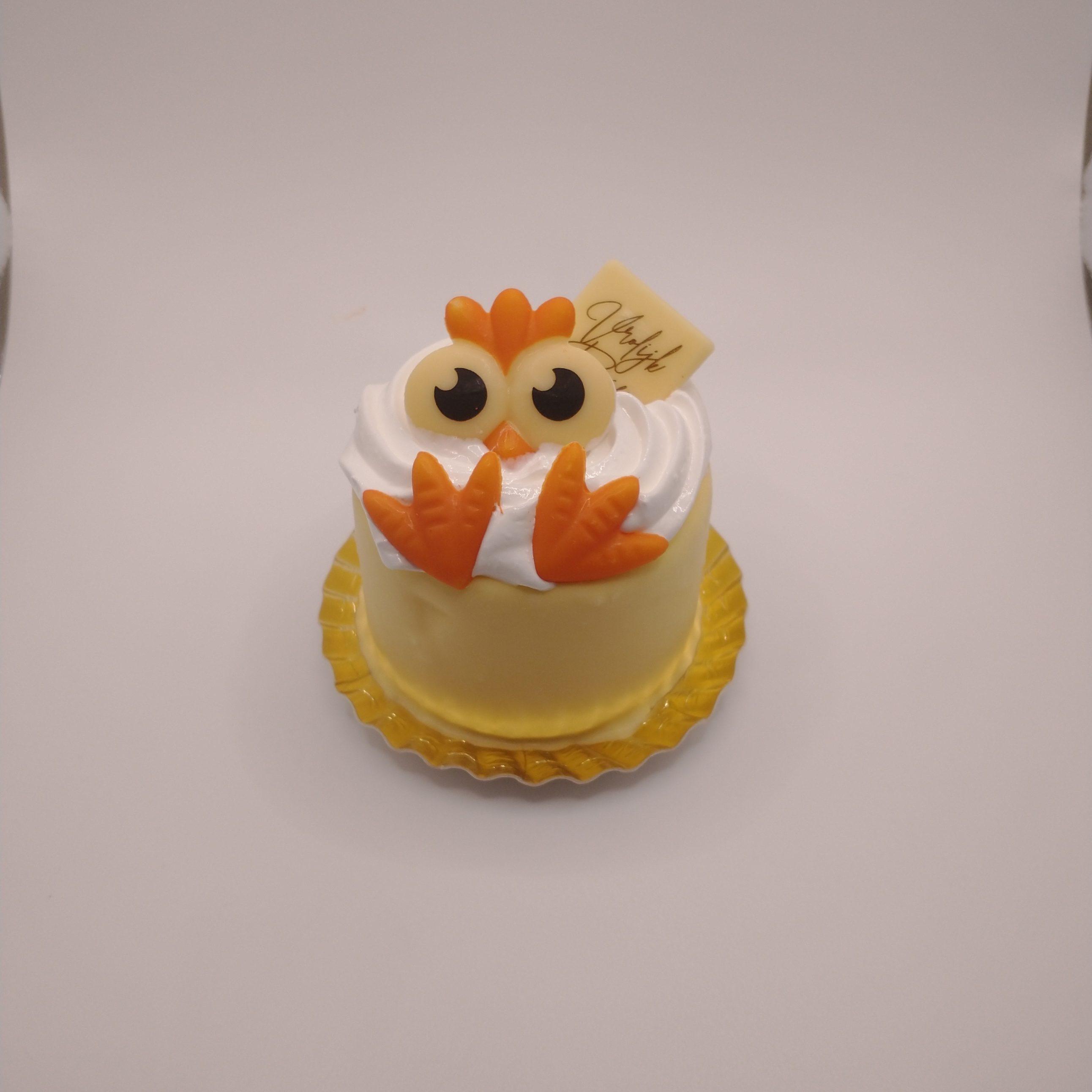 IMG 20240302 170542842