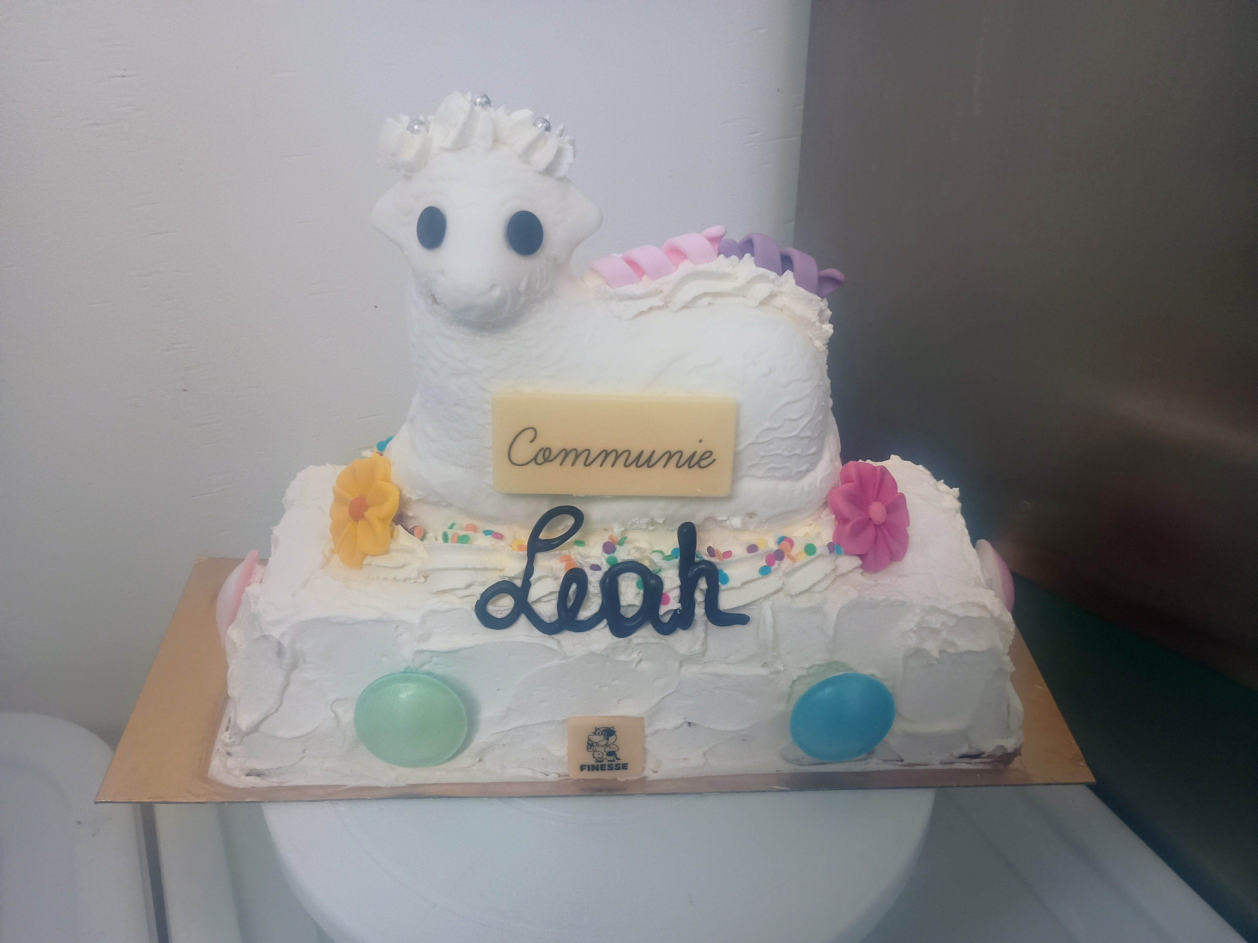 IMG 20250426 145249775