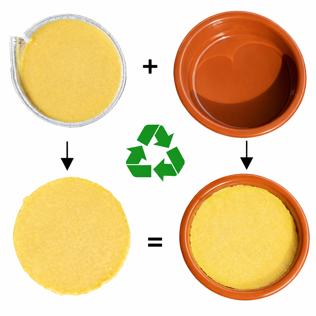 Chat GPT Image 21 feb 2026 10 15 51