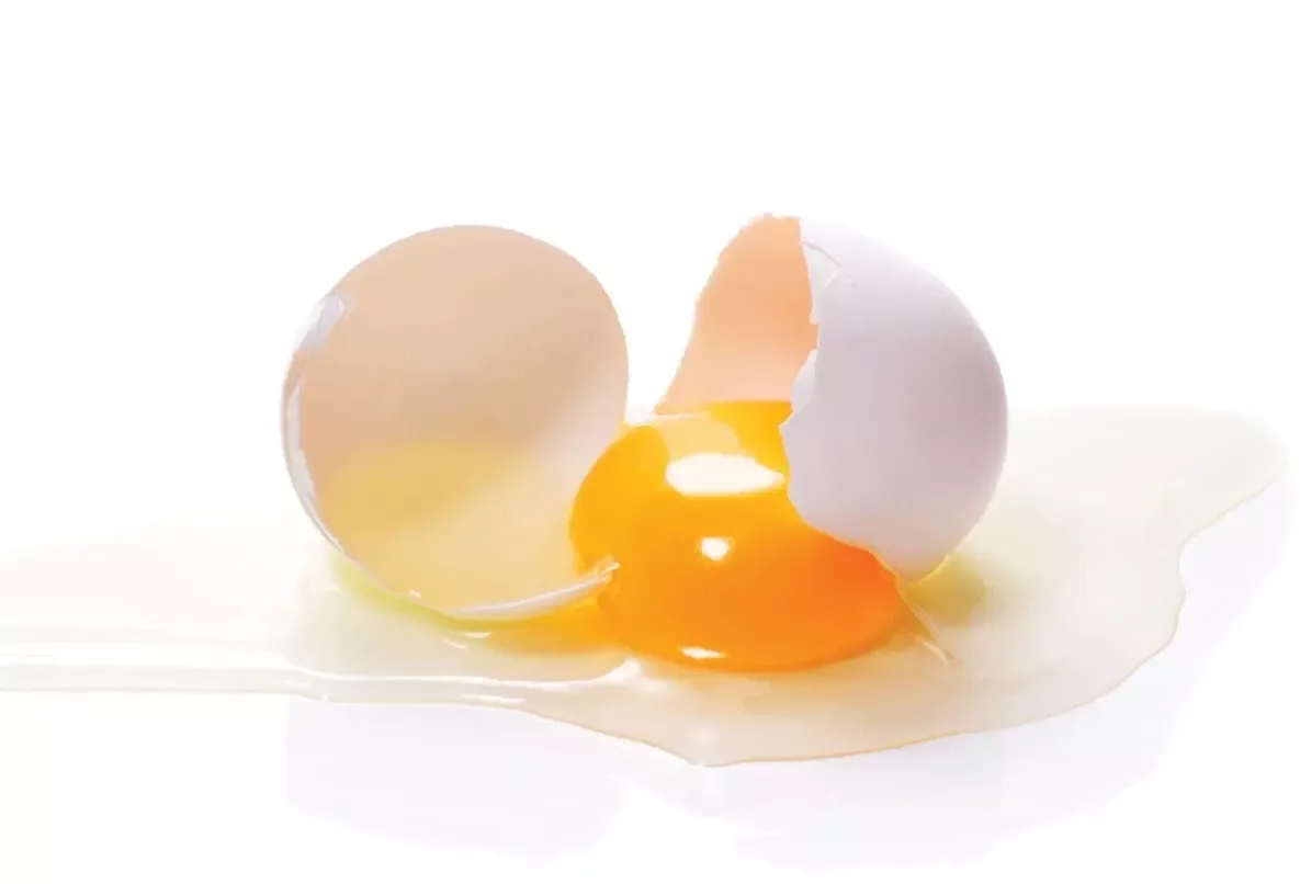 Eiwit en eigeeljpg e1454407594577