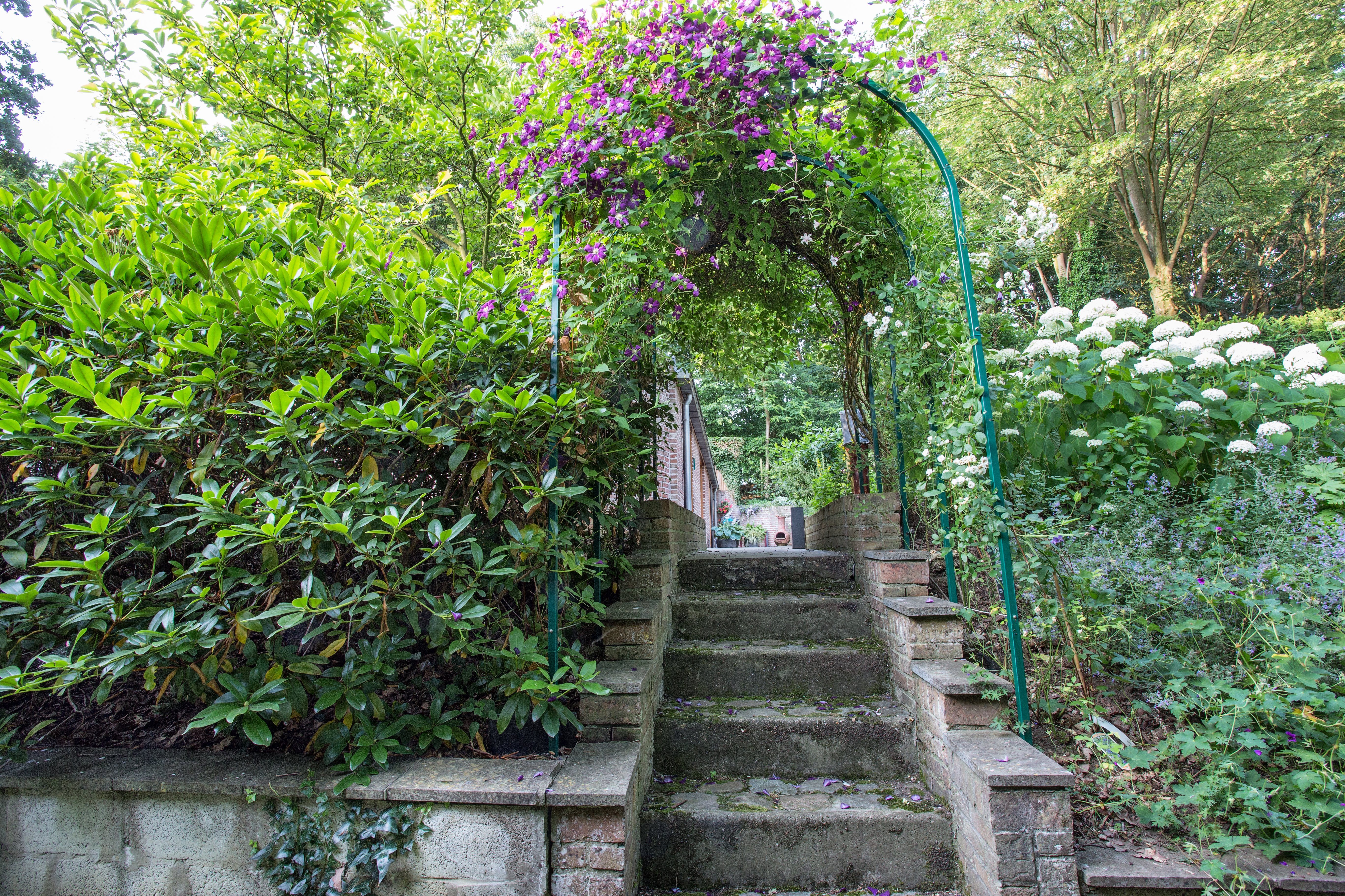 IMG 2710 gijmelstraat