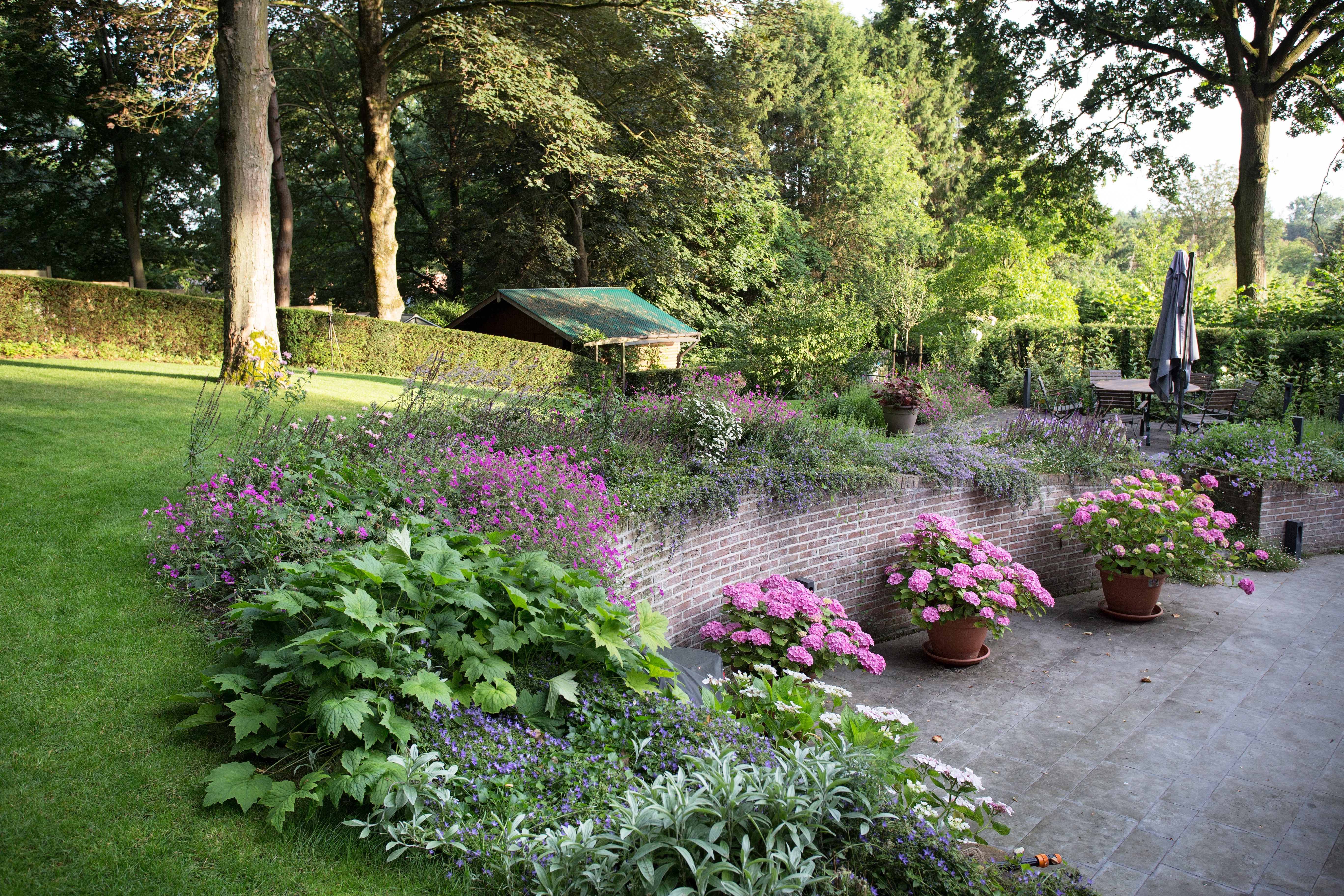 IMG 2728 gijmelstraat