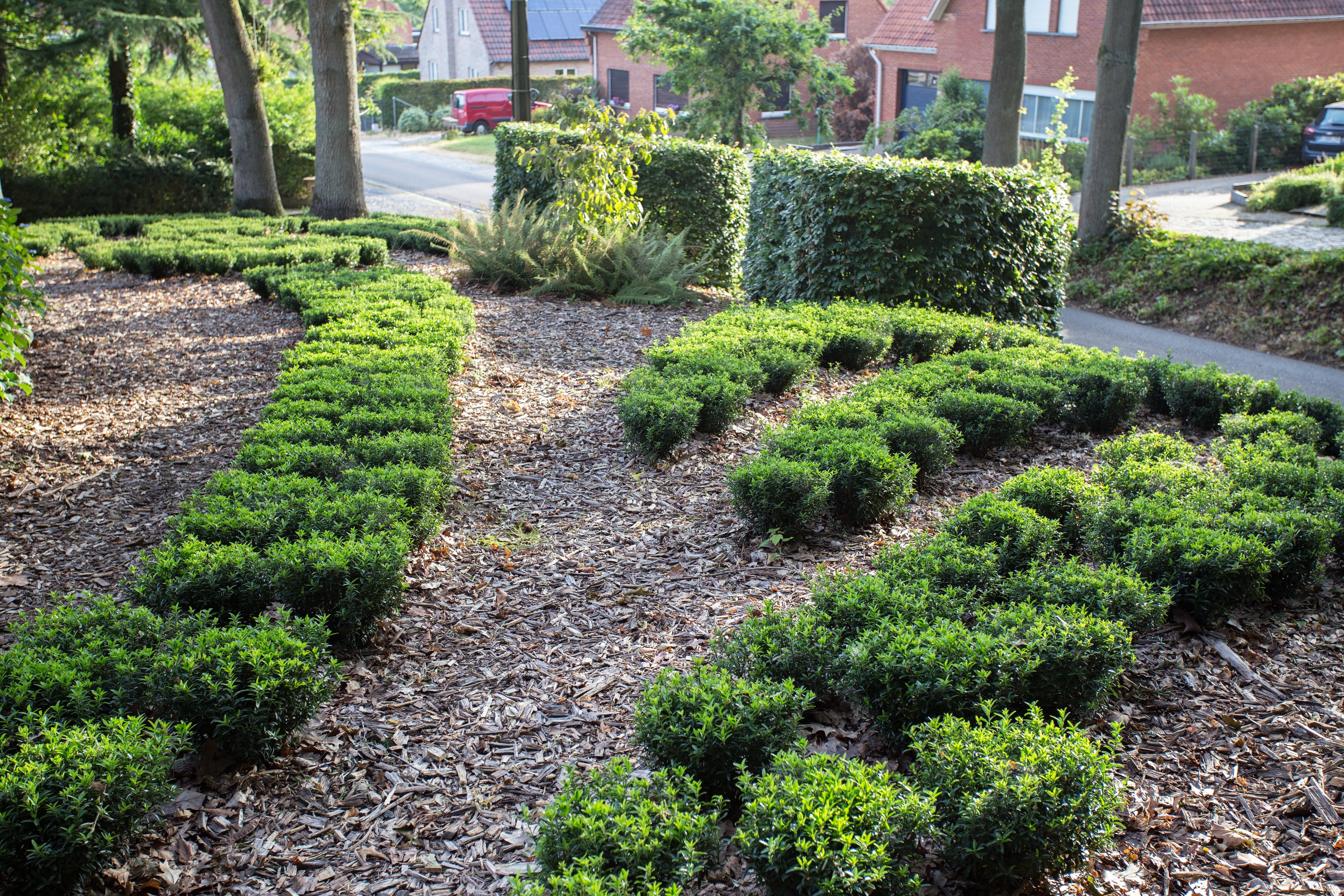 IMG 2768 gijmelstraat