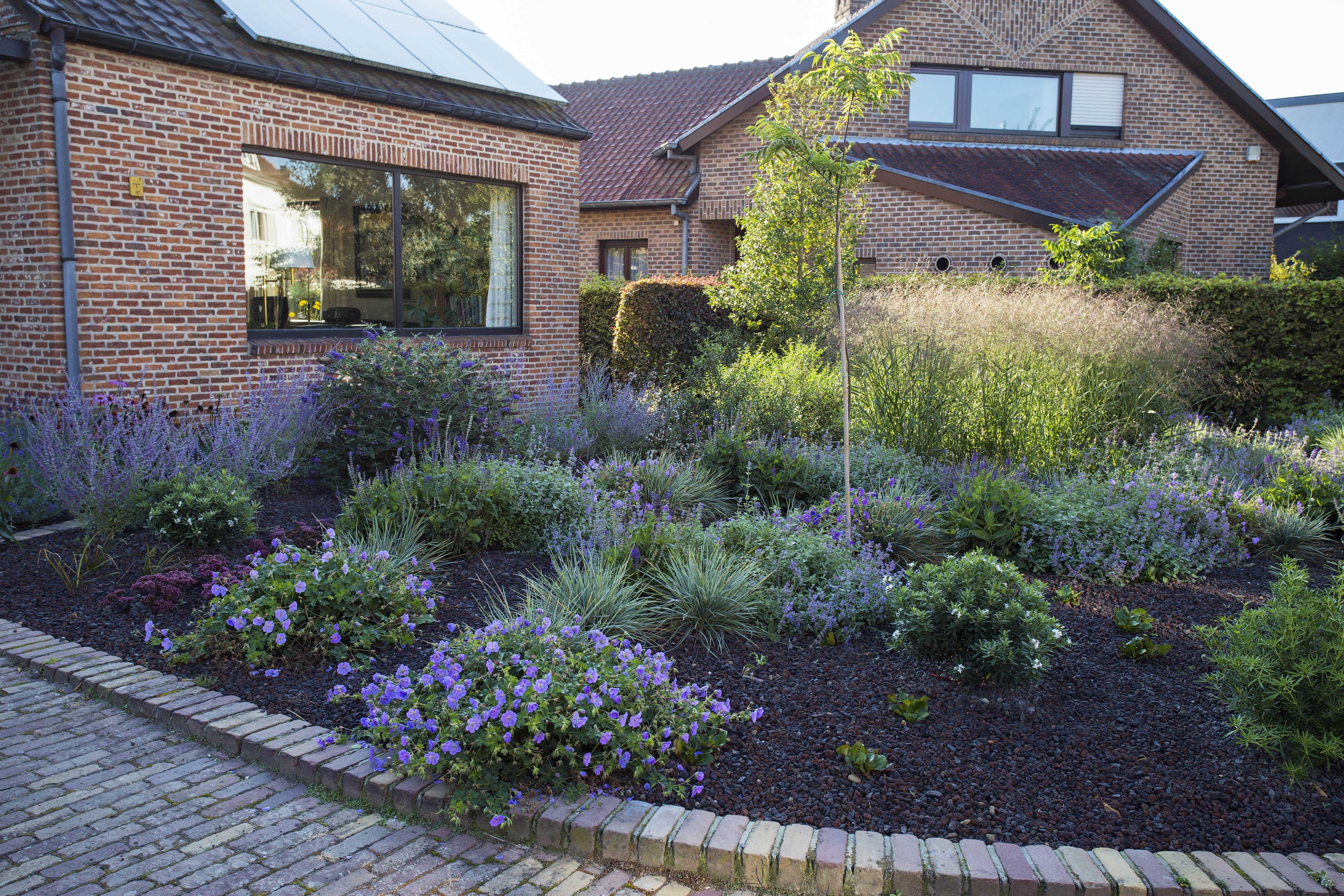 IMG 4524 peeters D min